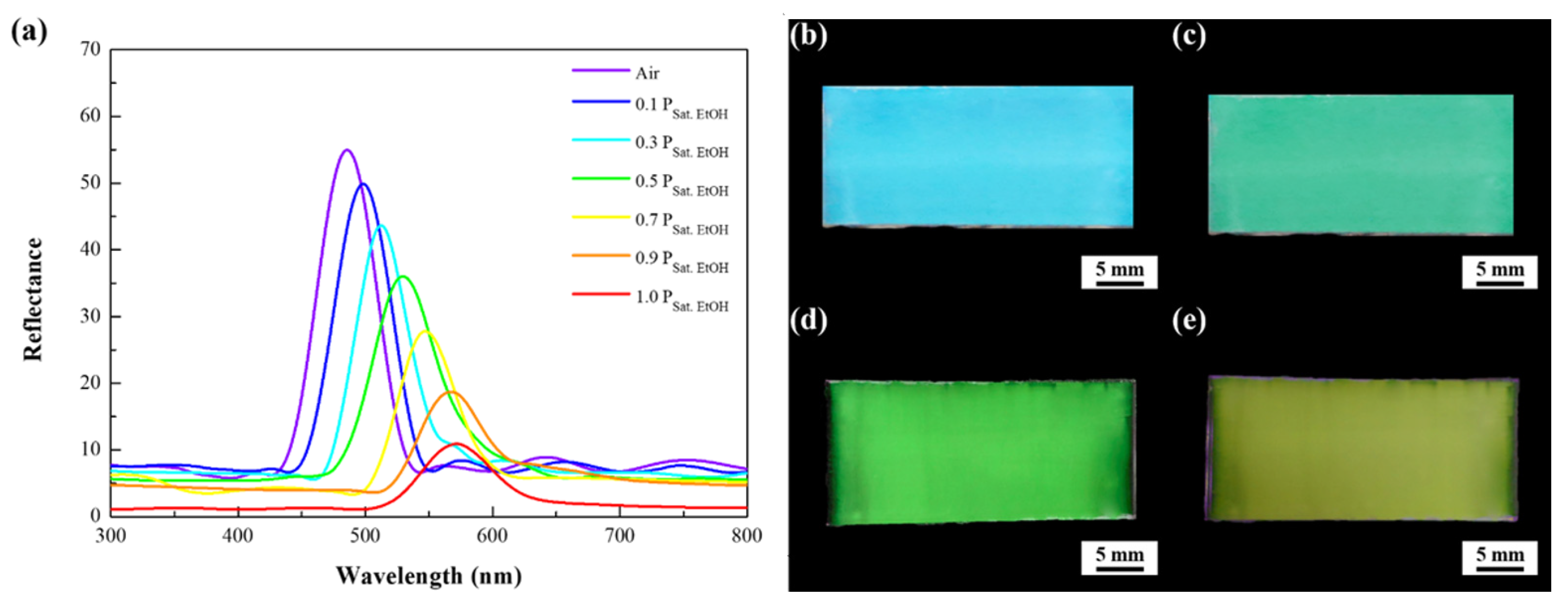 Sensors 21 07046 g005