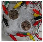 Sensors 21 07081 i005 Sensors 21 07081 i005