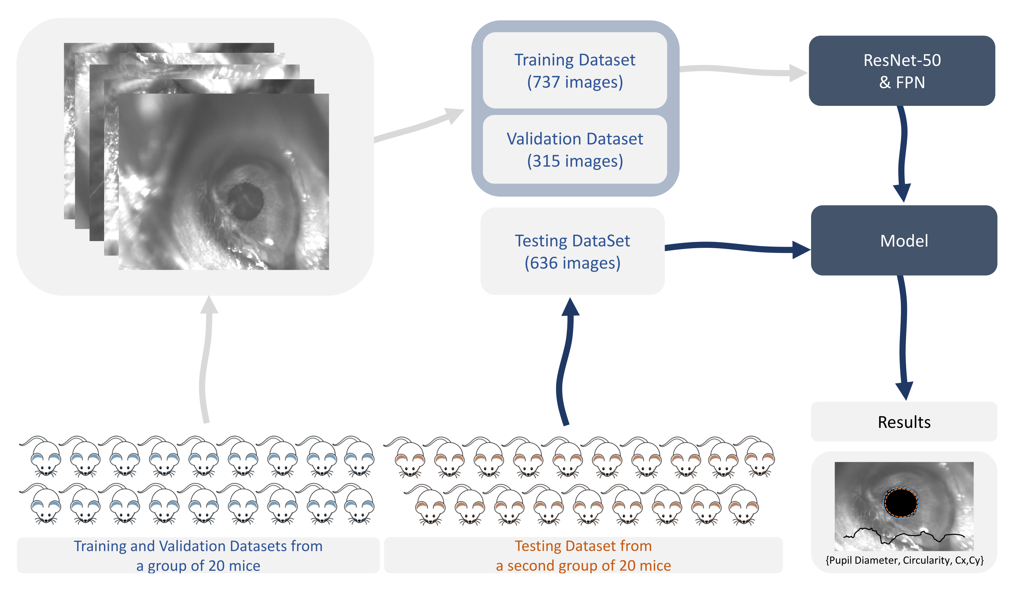 Sensors 21 07106 g002