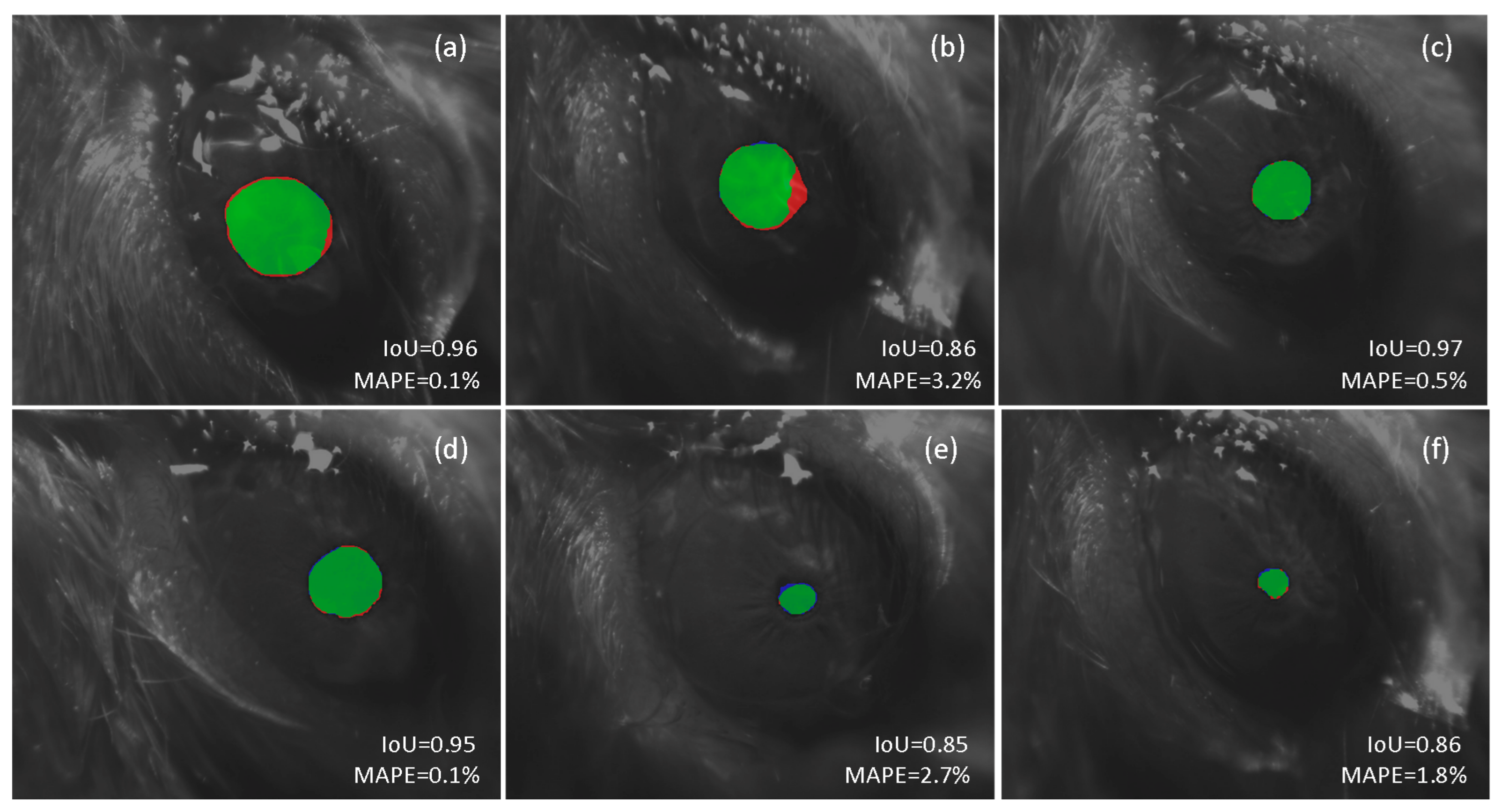Sensors 21 07106 g005