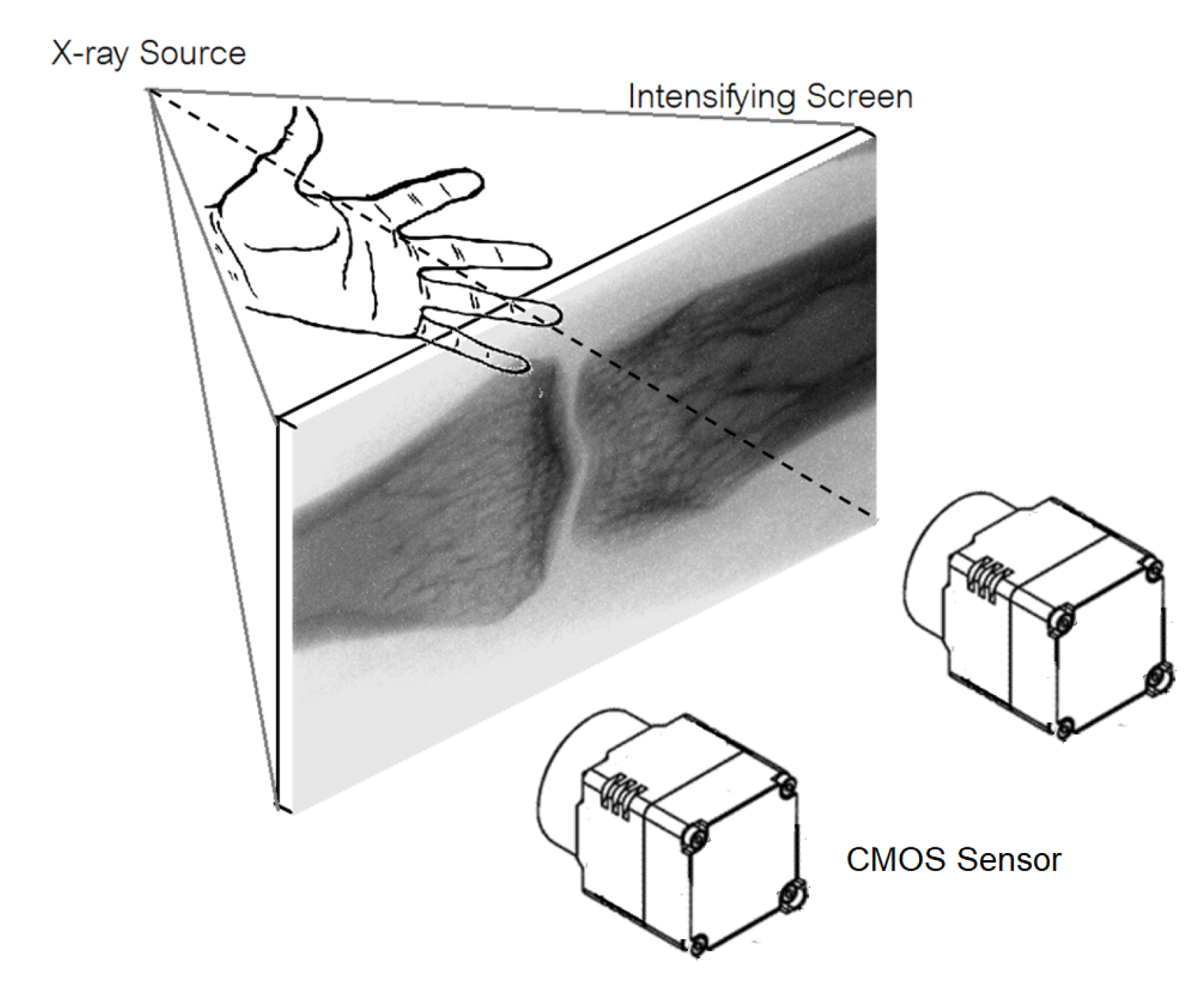 Quantitative Assessment and Measurement of X-ray Detector