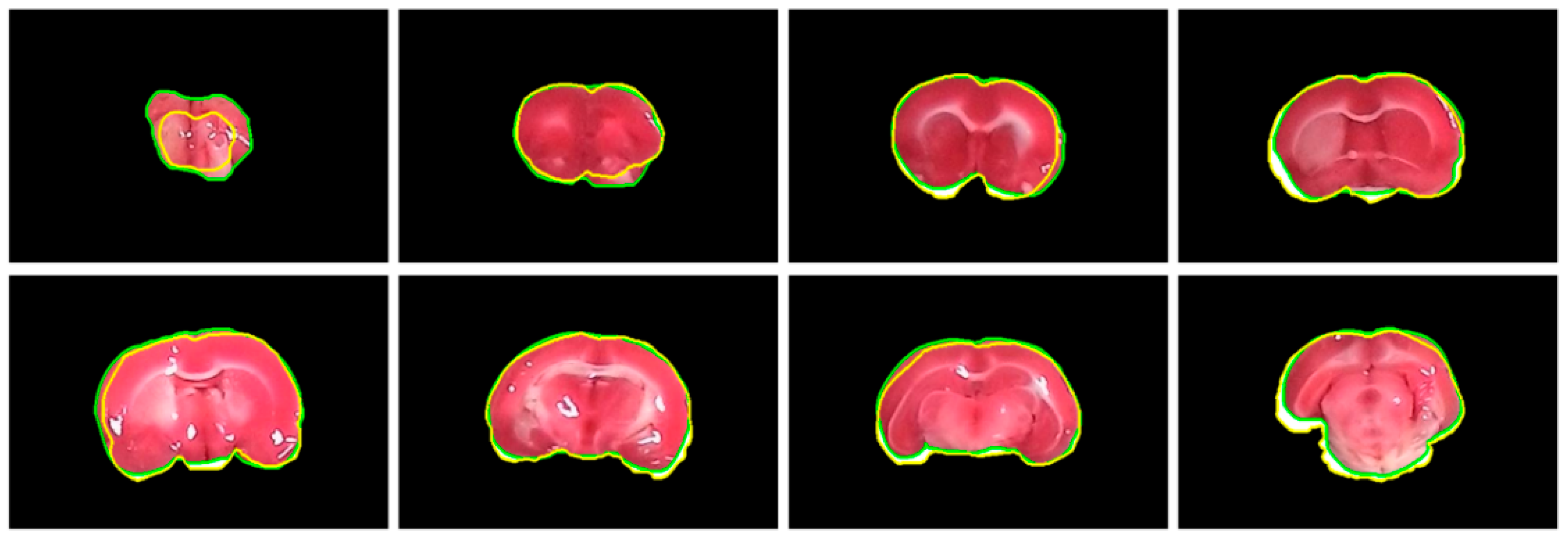 Sensors 21 07171 g004 Sensors 21 07171 g004