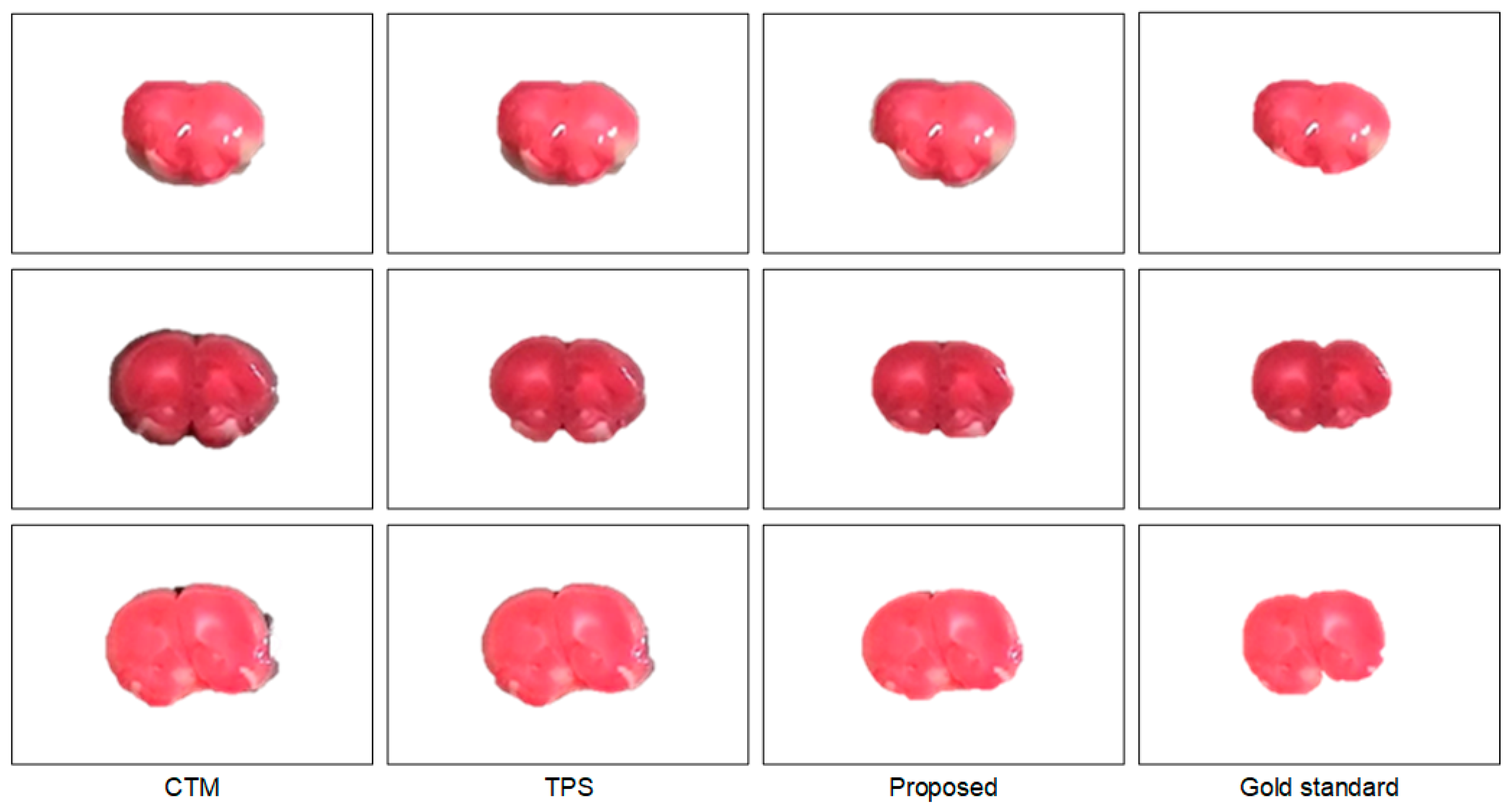 Sensors 21 07171 g005 Sensors 21 07171 g005