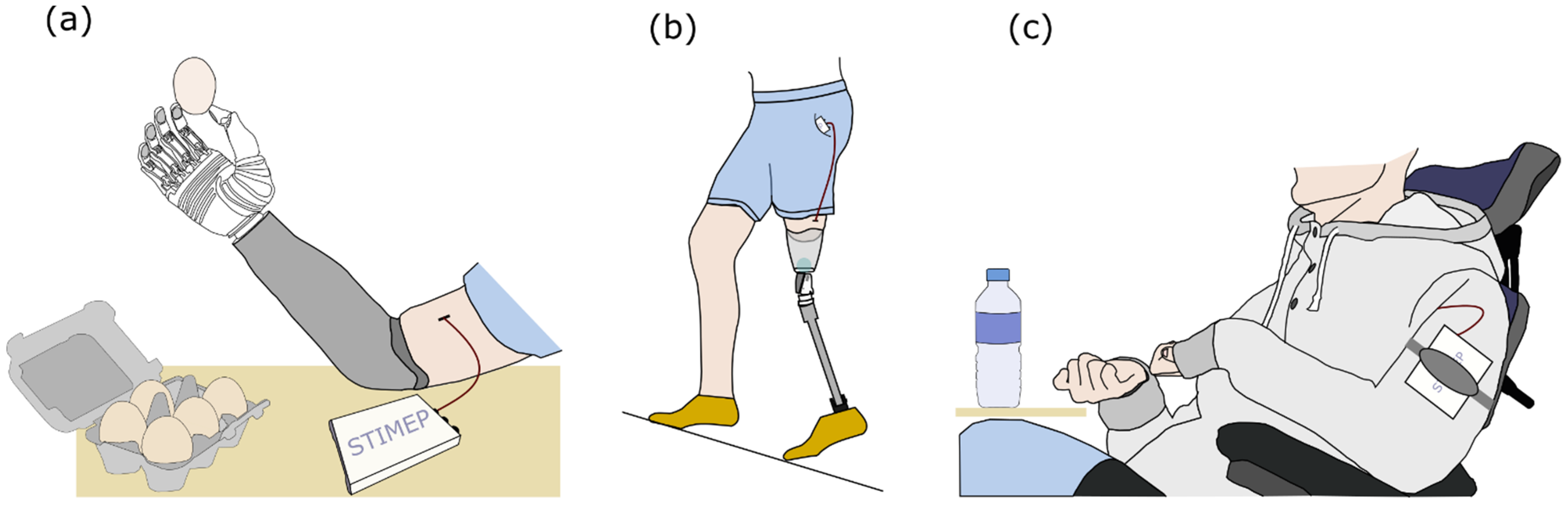 Sensors 21 07219 g007 550