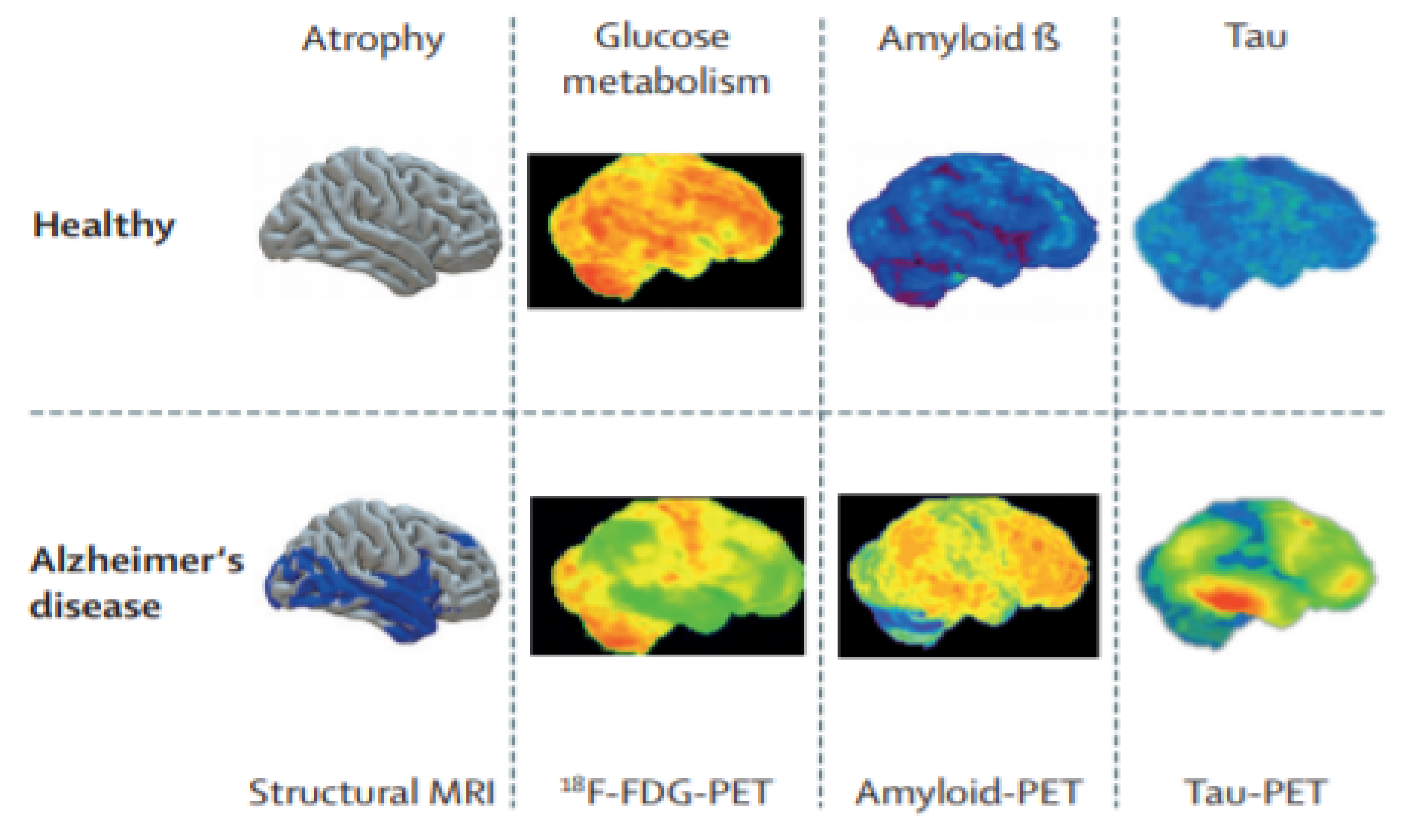 Sensors 21 07259 g005 550