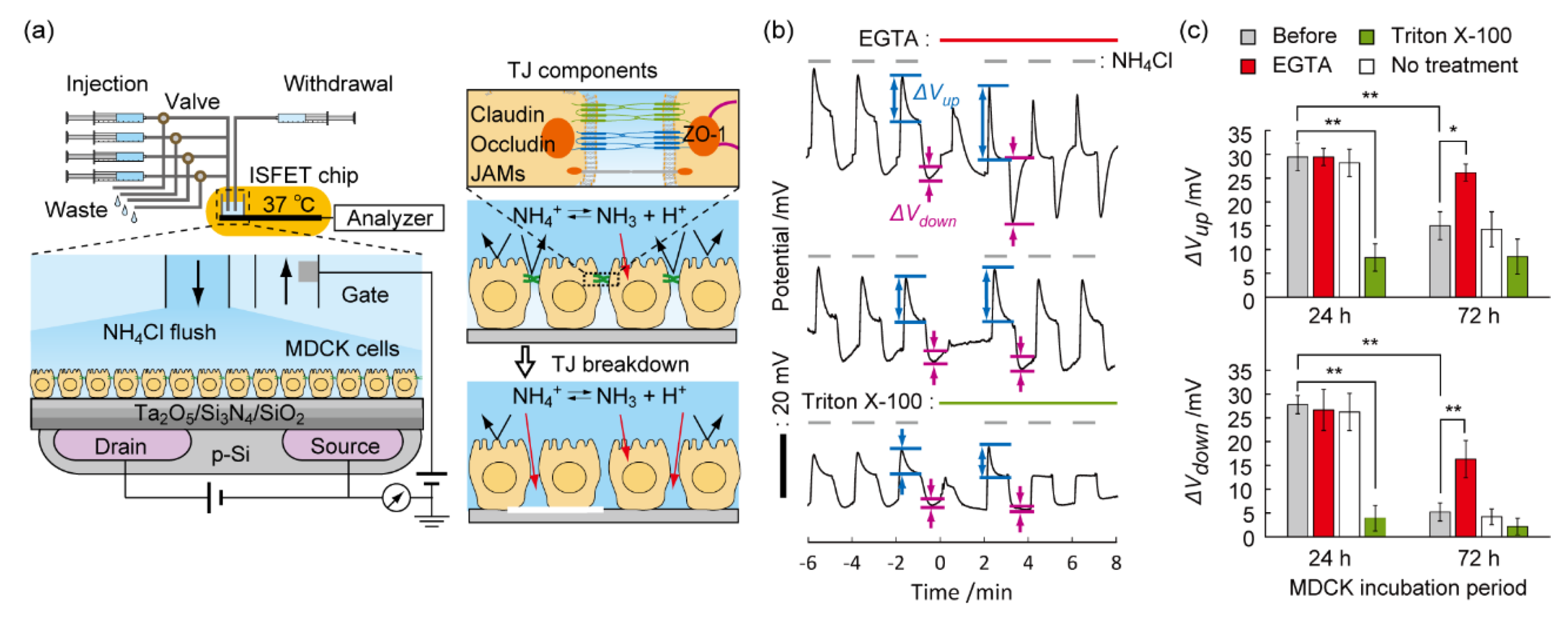 Sensors 21 07277 g006
