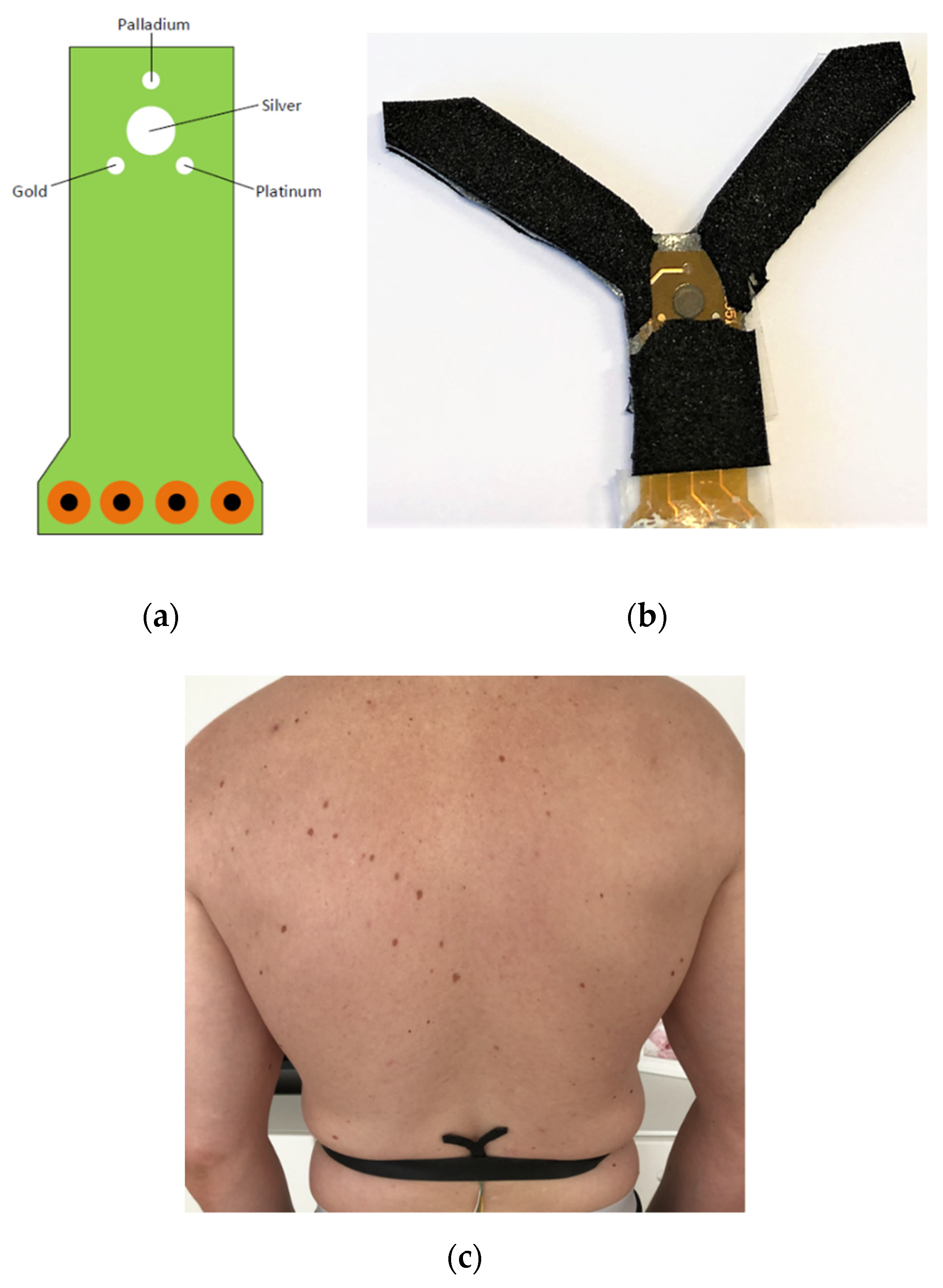 Sensors 21 07311 g005