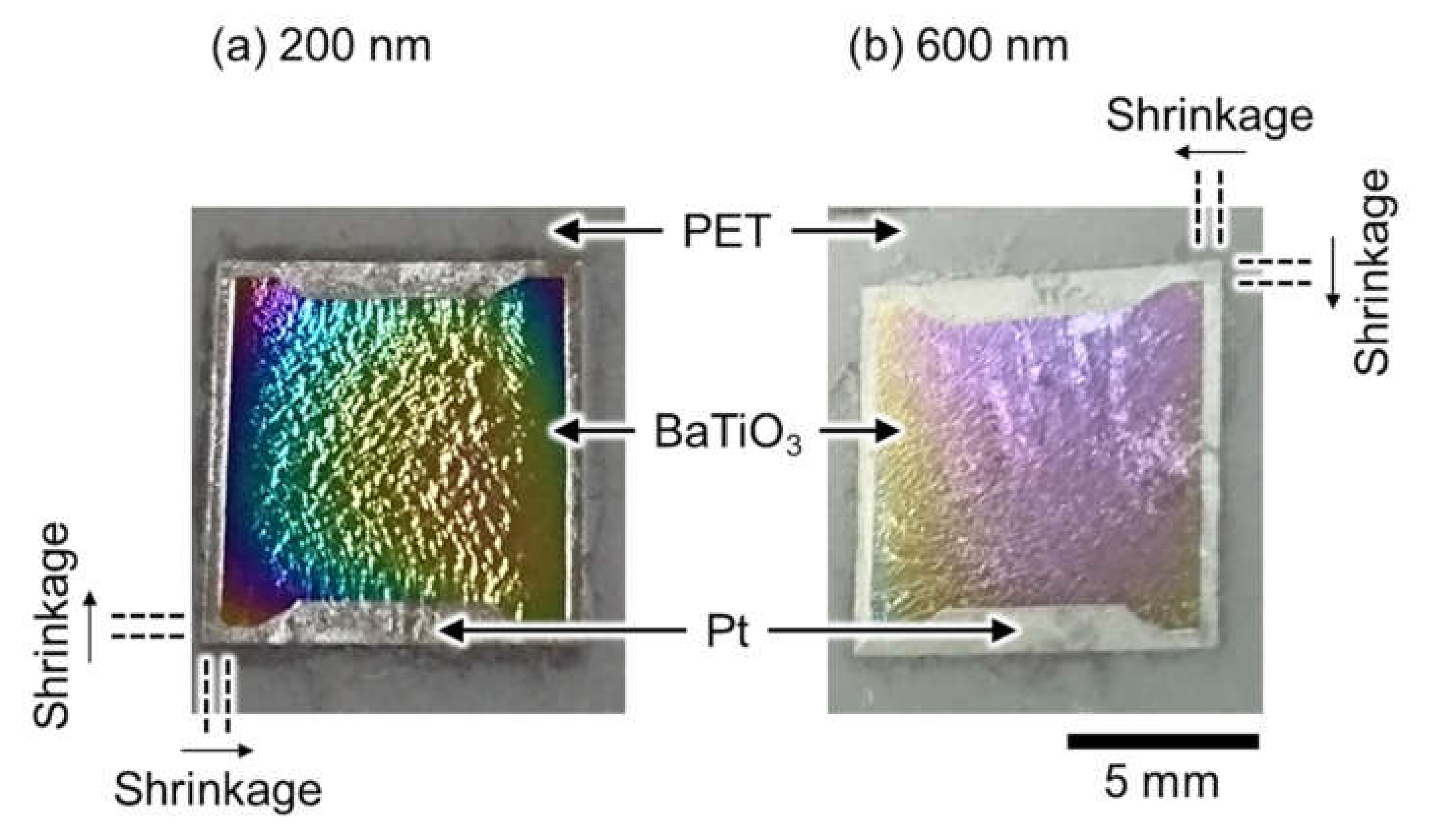chmaaaa様★専用ページ Giant Wrinkles on the Surface of Epitaxial BaTiO3 Thin Films