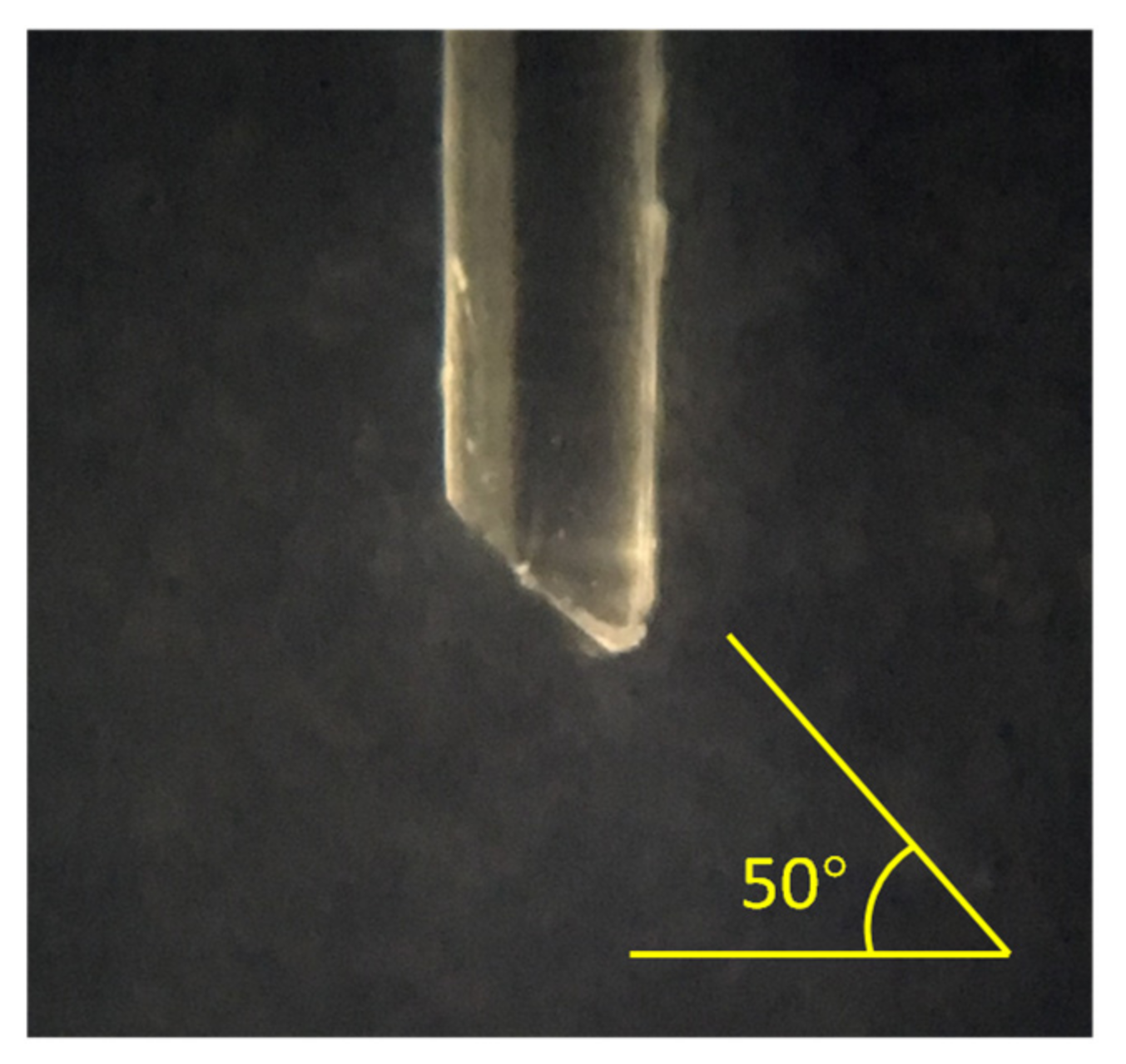 Sensors 21 07338 g004