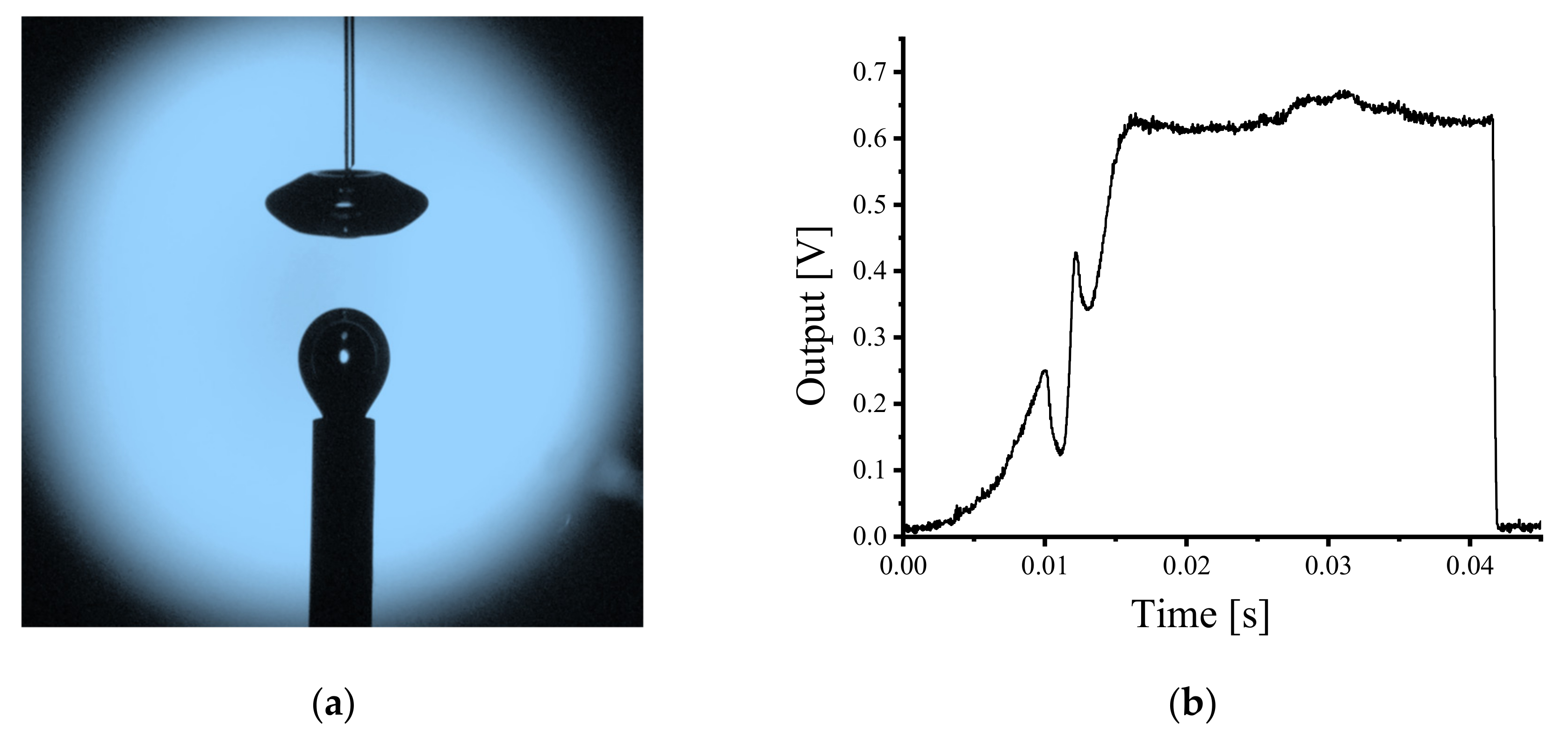 Sensors 21 07338 g006