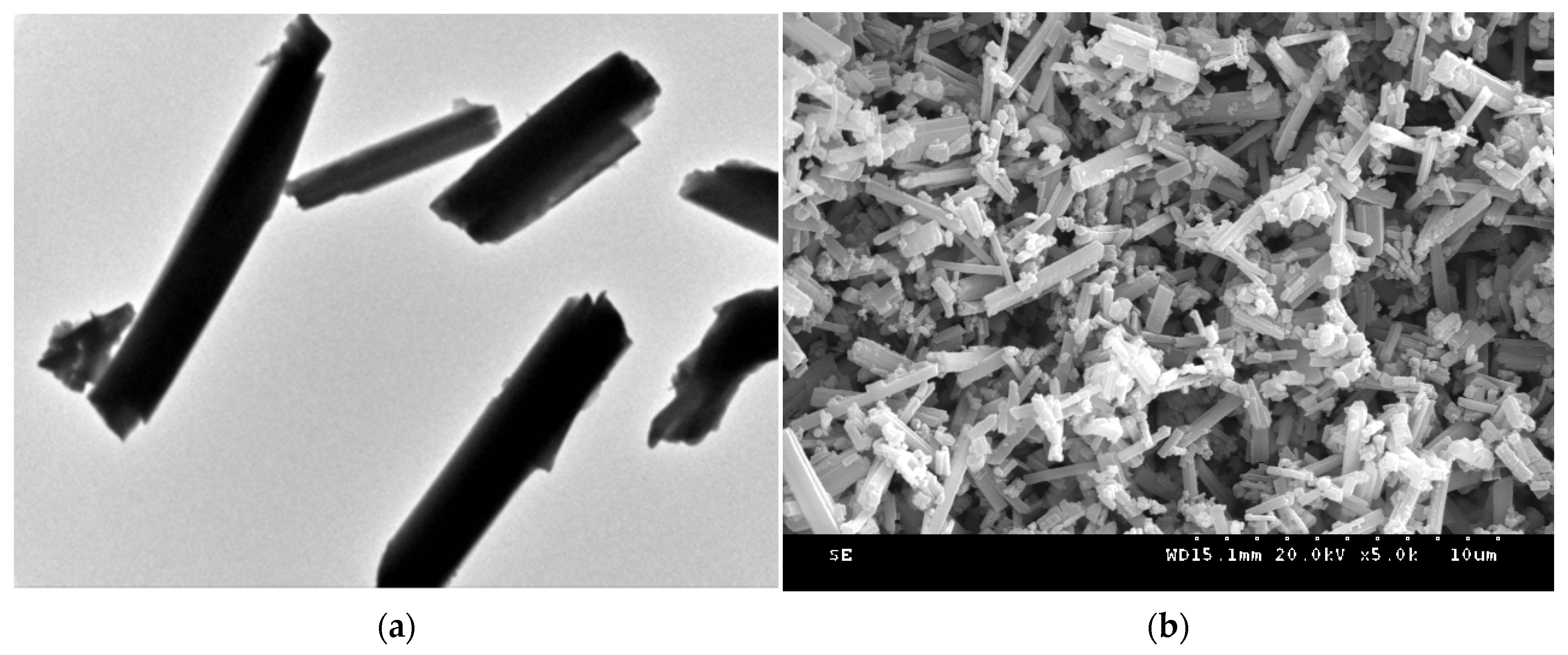 Sensors 21 07355 g005