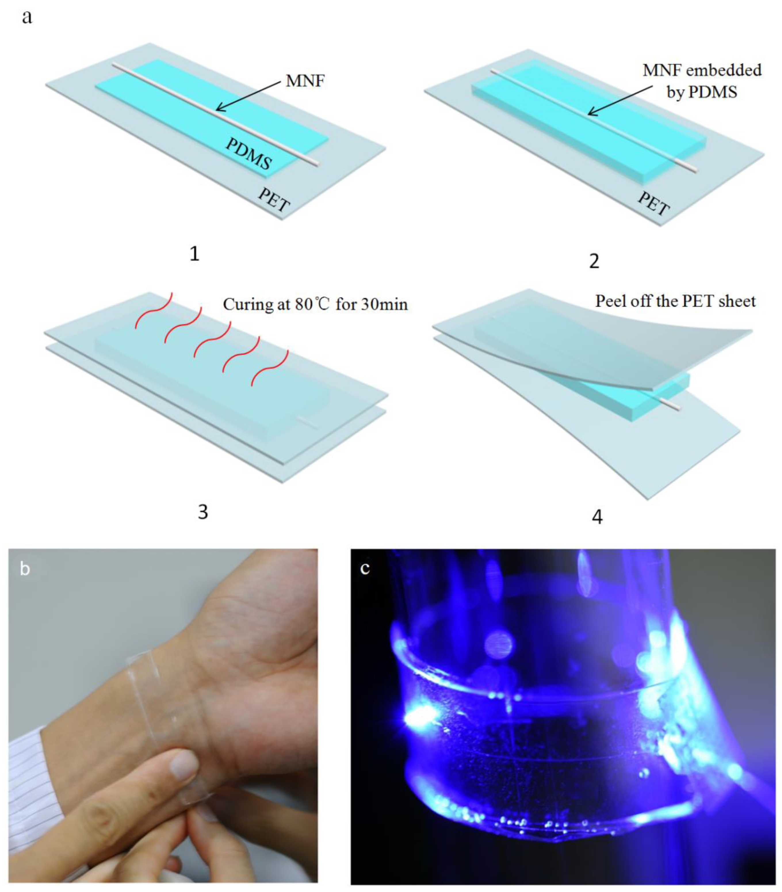 Sensors 21 07437 g001