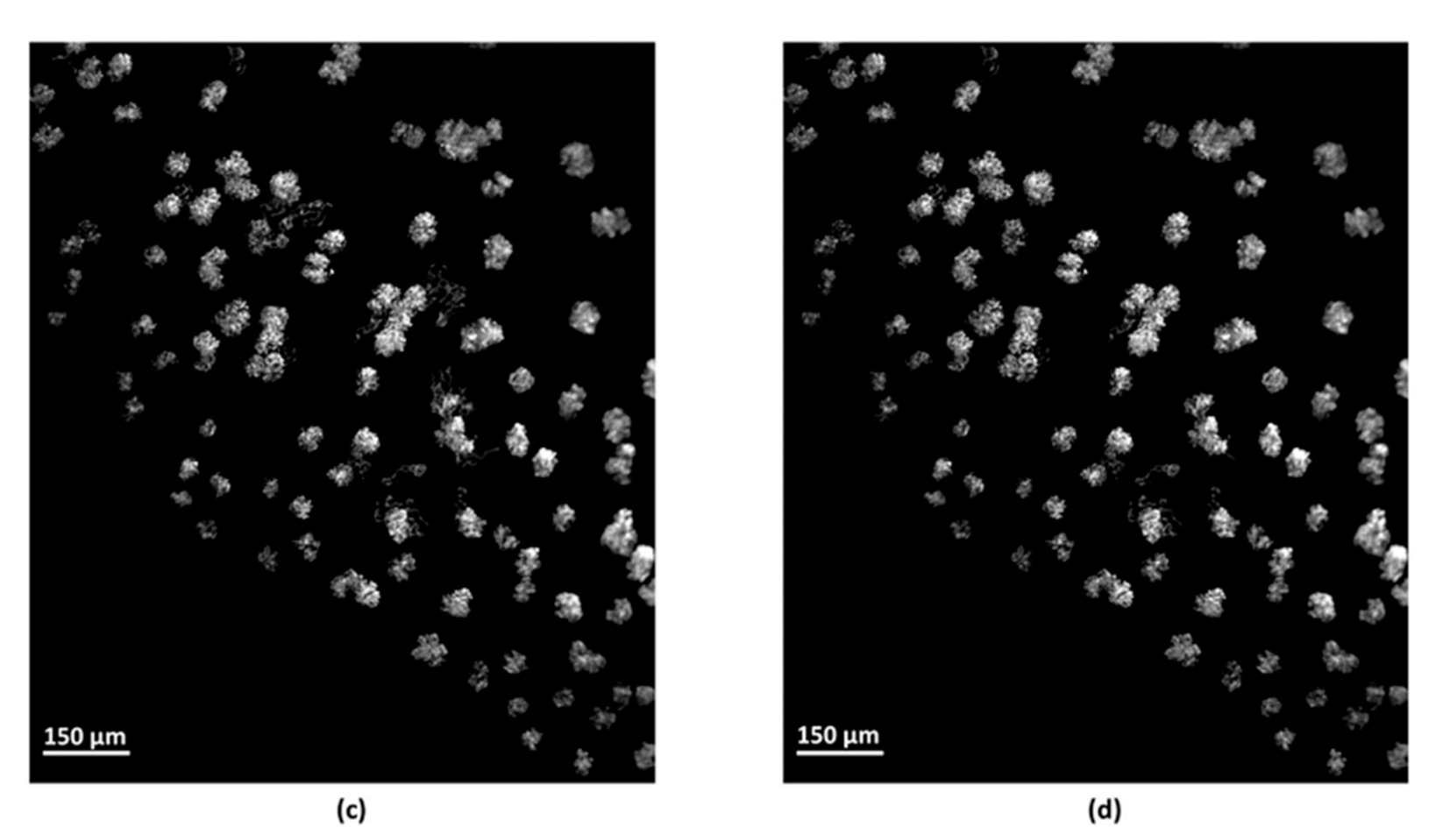 Sensors 21 07440 g002b Sensors 21 07440 g002b