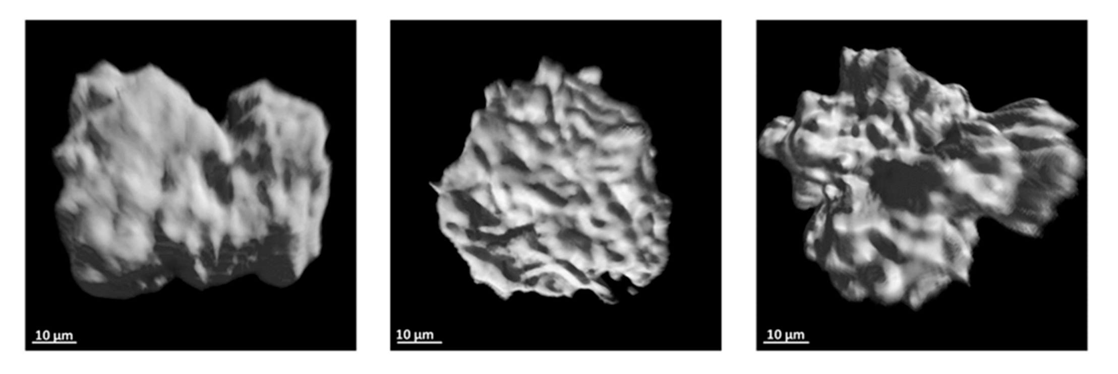 Sensors 21 07440 g003a Sensors 21 07440 g003a