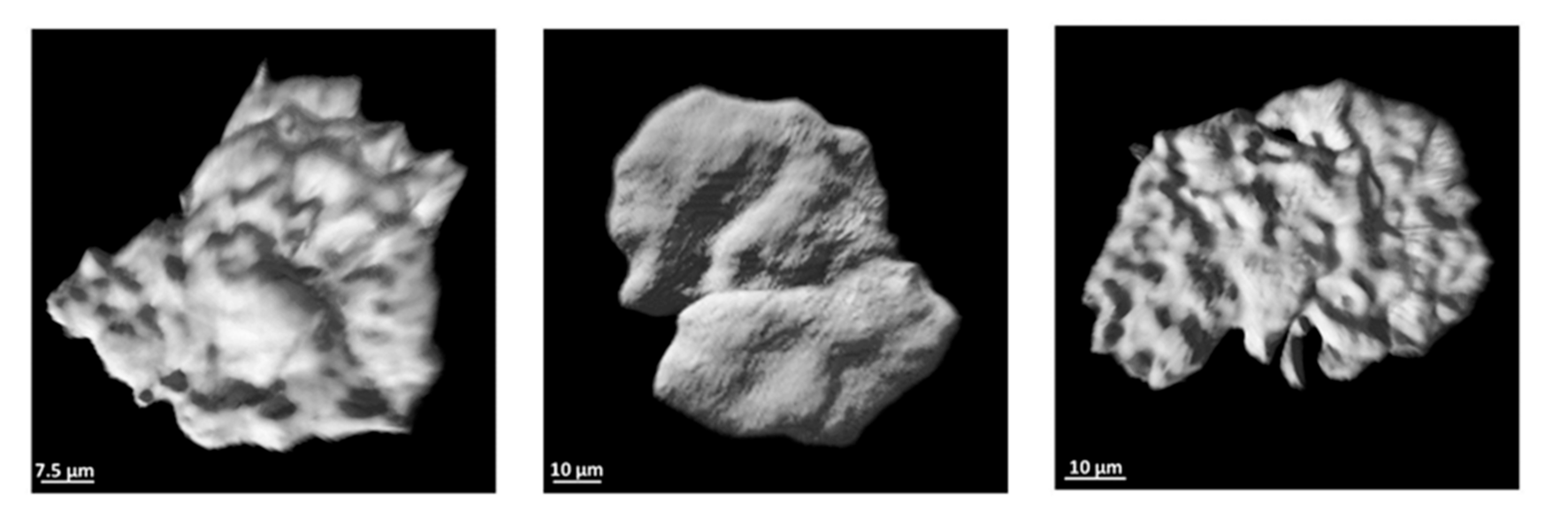 Sensors 21 07440 g003b Sensors 21 07440 g003b