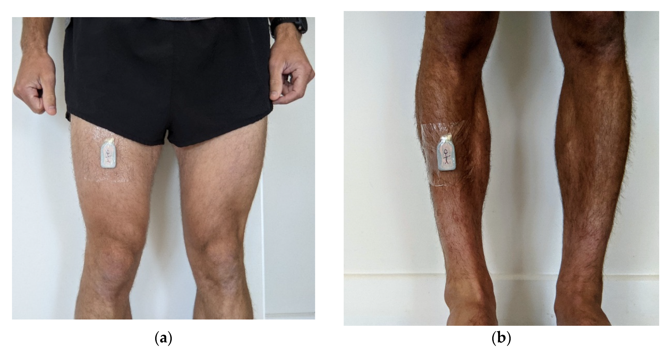 Sensors 21 07458 g001 550