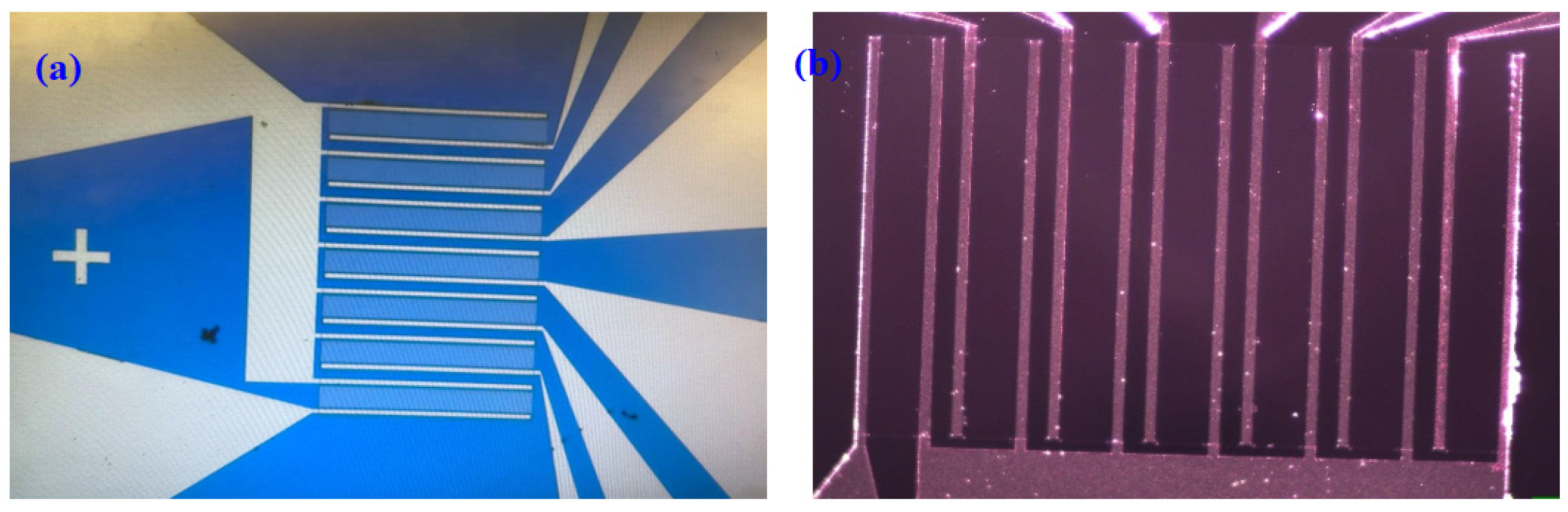 Sensors 21 07491 g002 Sensors 21 07491 g002