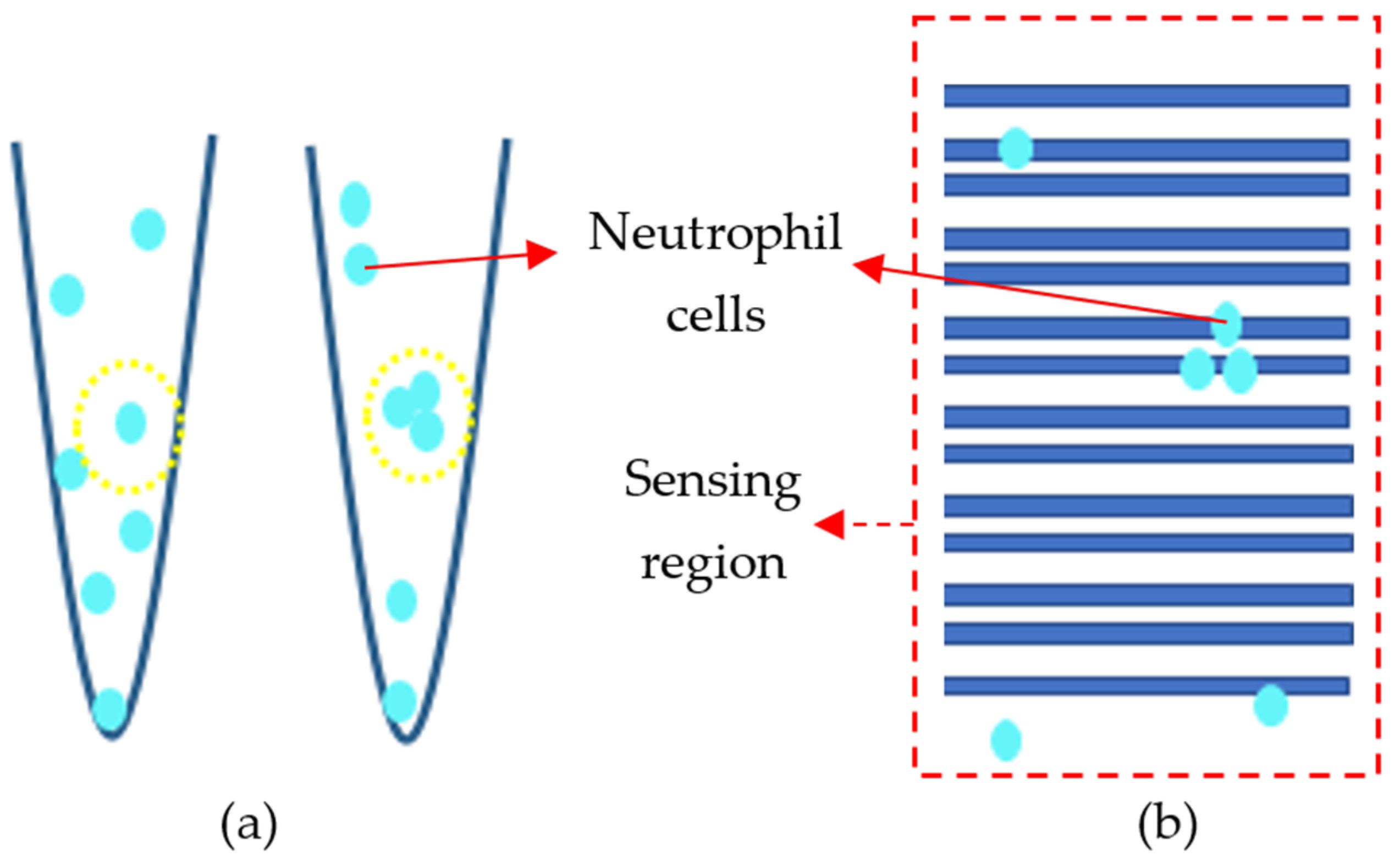 Sensors 21 07491 g016 Sensors 21 07491 g016