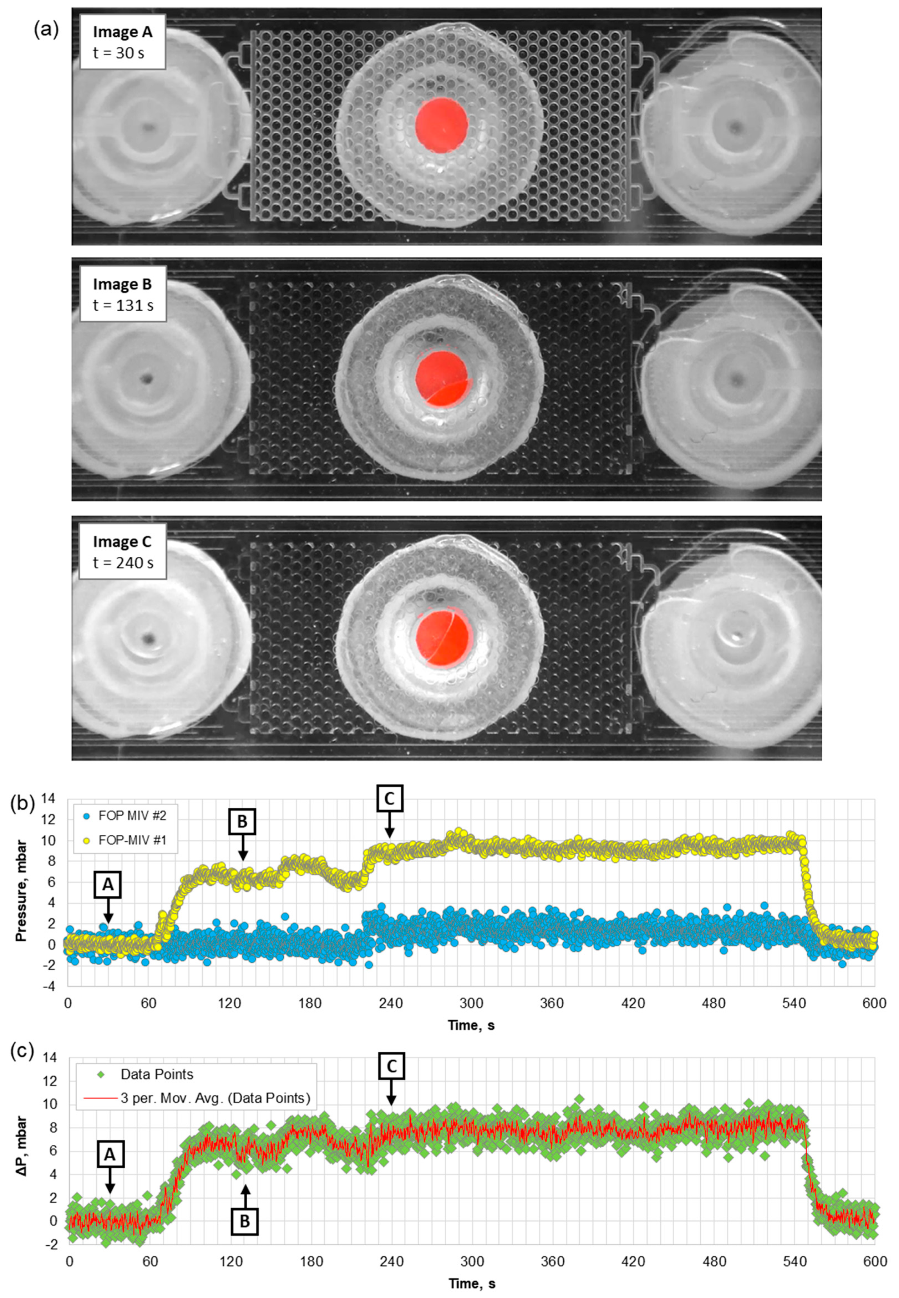 Sensors 21 07493 g008