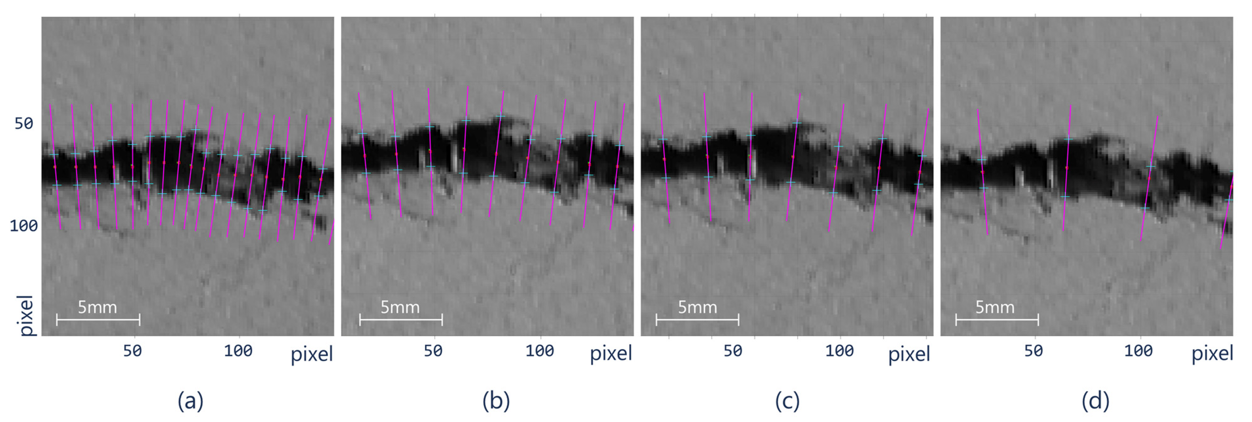 Sensors 21 07534 g010 Sensors 21 07534 g010