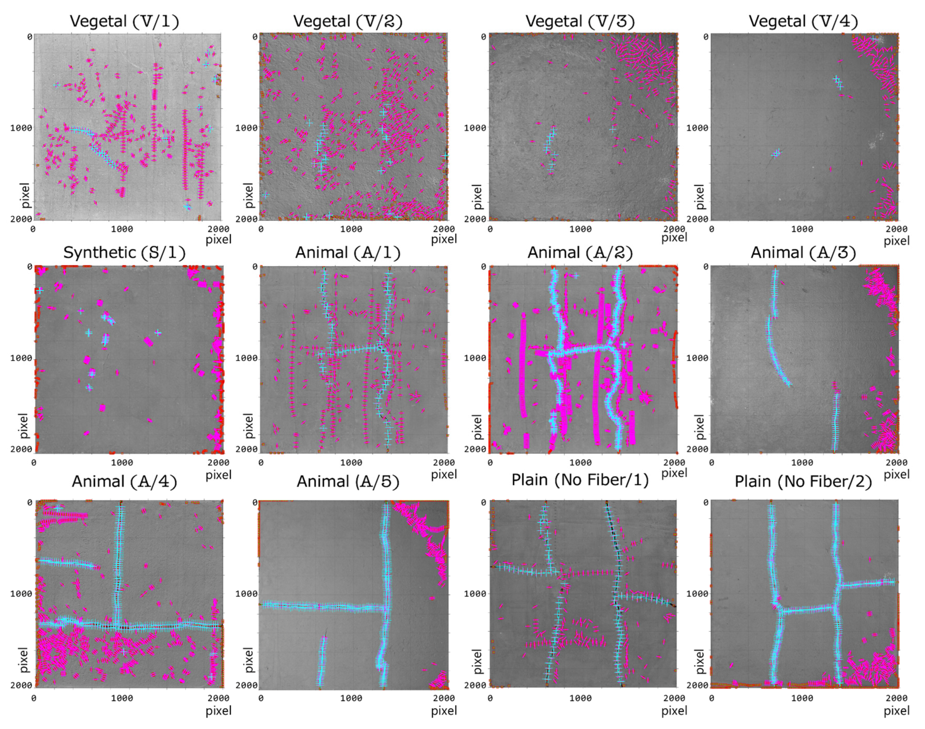 Sensors 21 07534 g012 Sensors 21 07534 g012