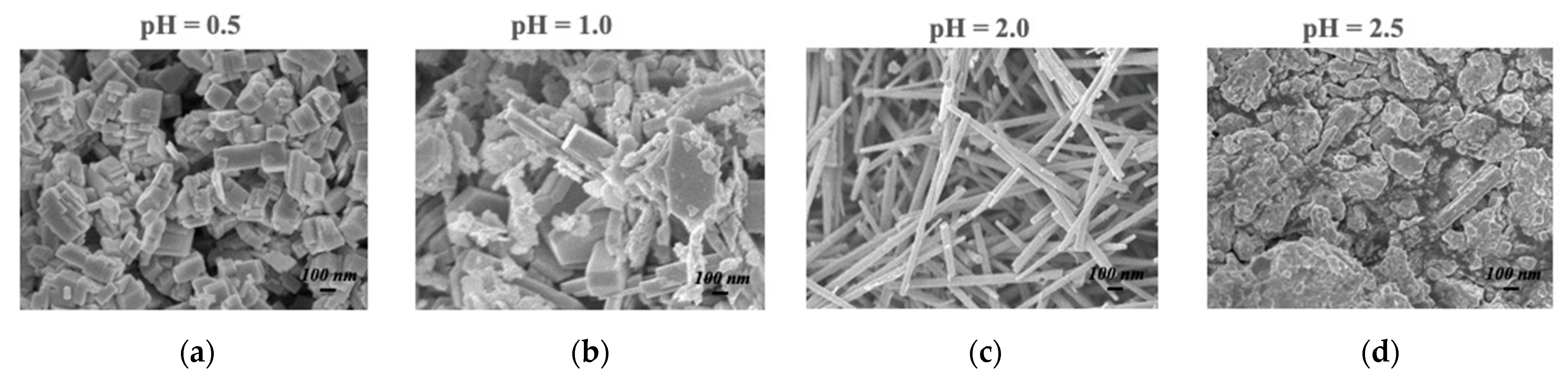 Sensors 21 07554 g004