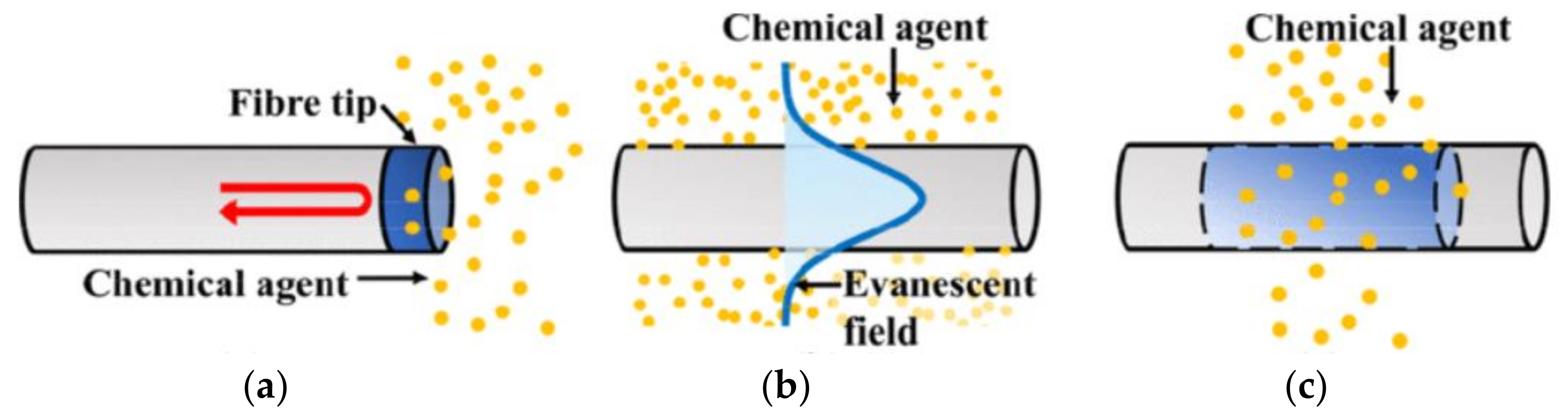 Sensors 21 07563 g005 550
