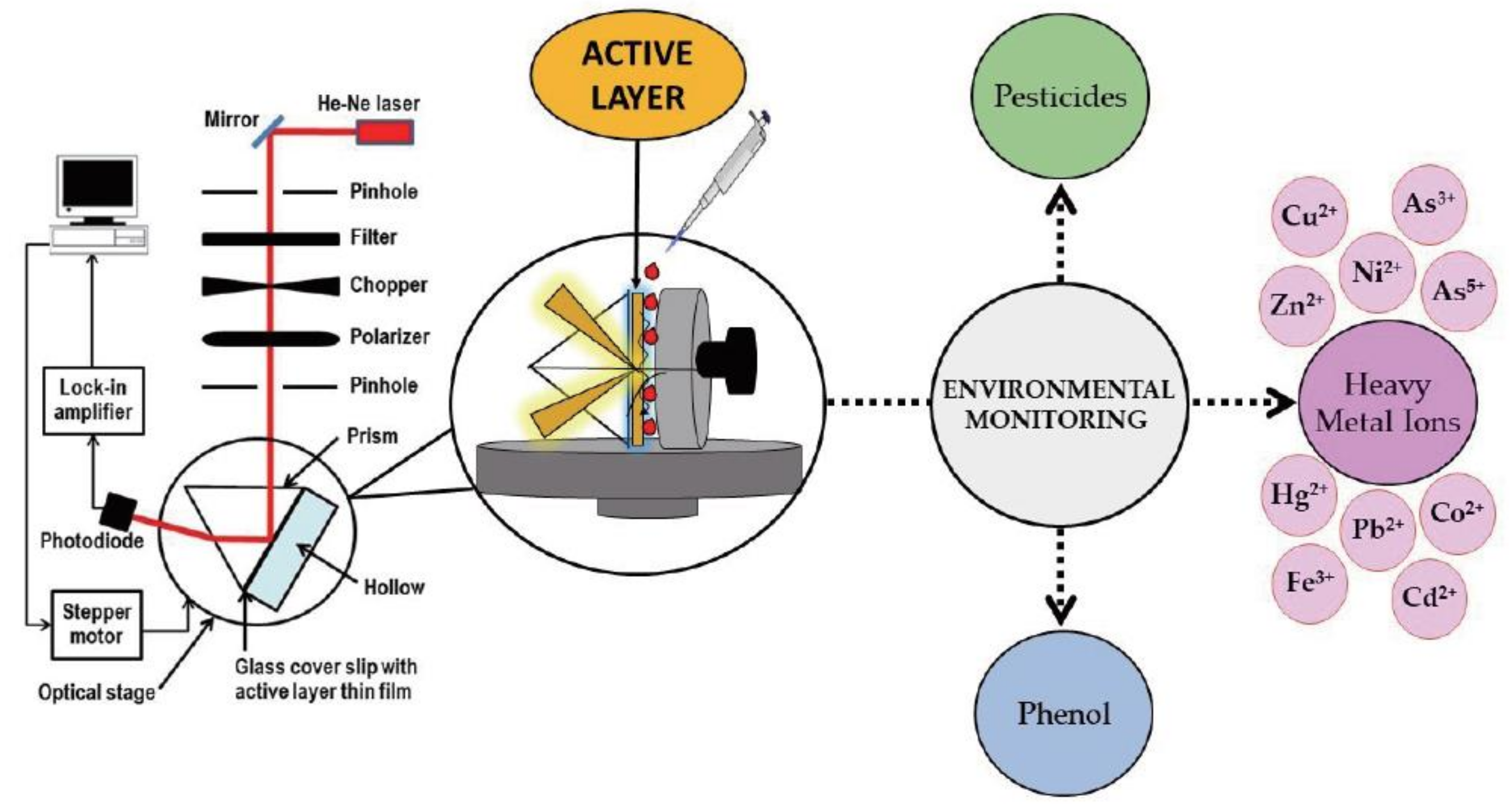 Sensors 21 07563 g007 550