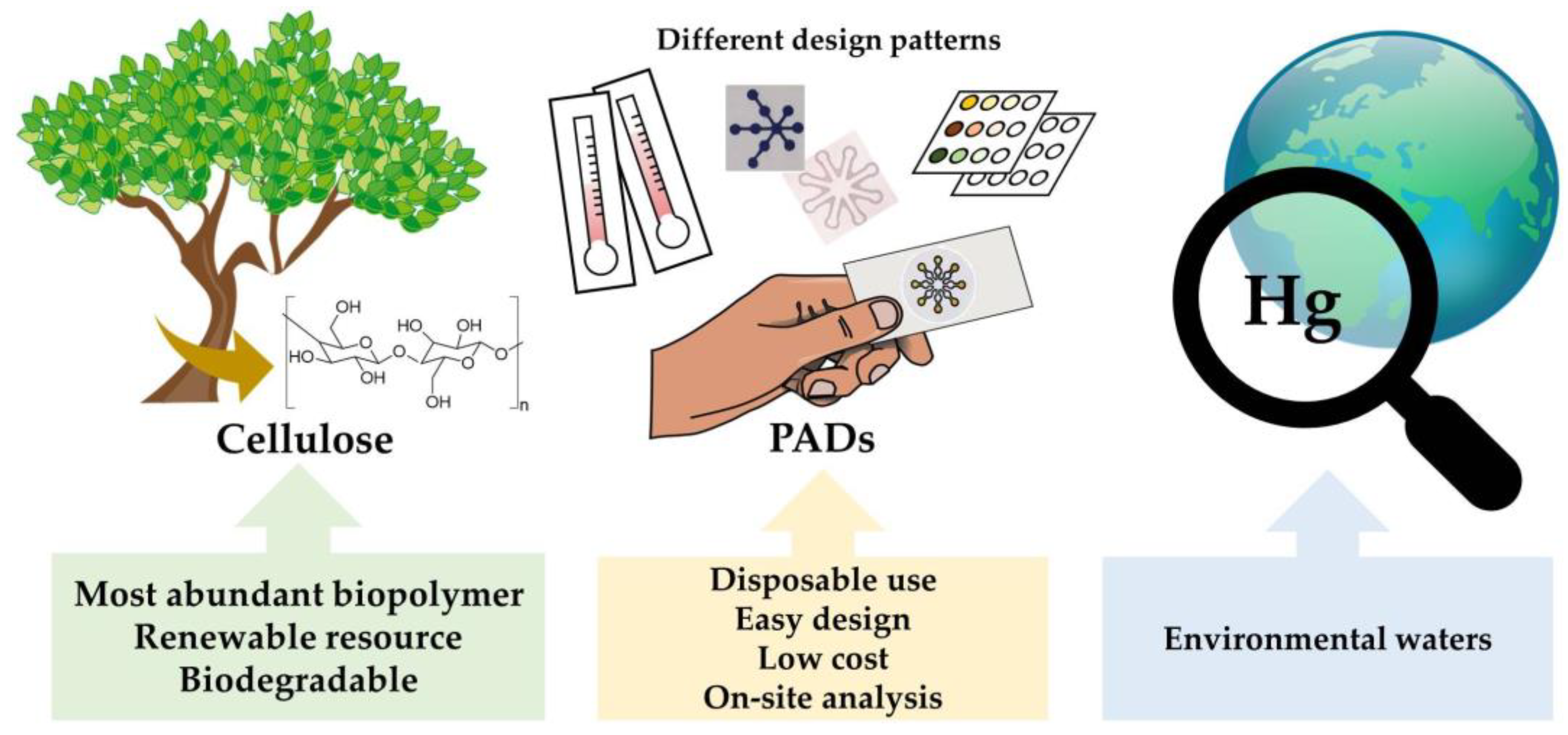 Sensors 21 07571 g001