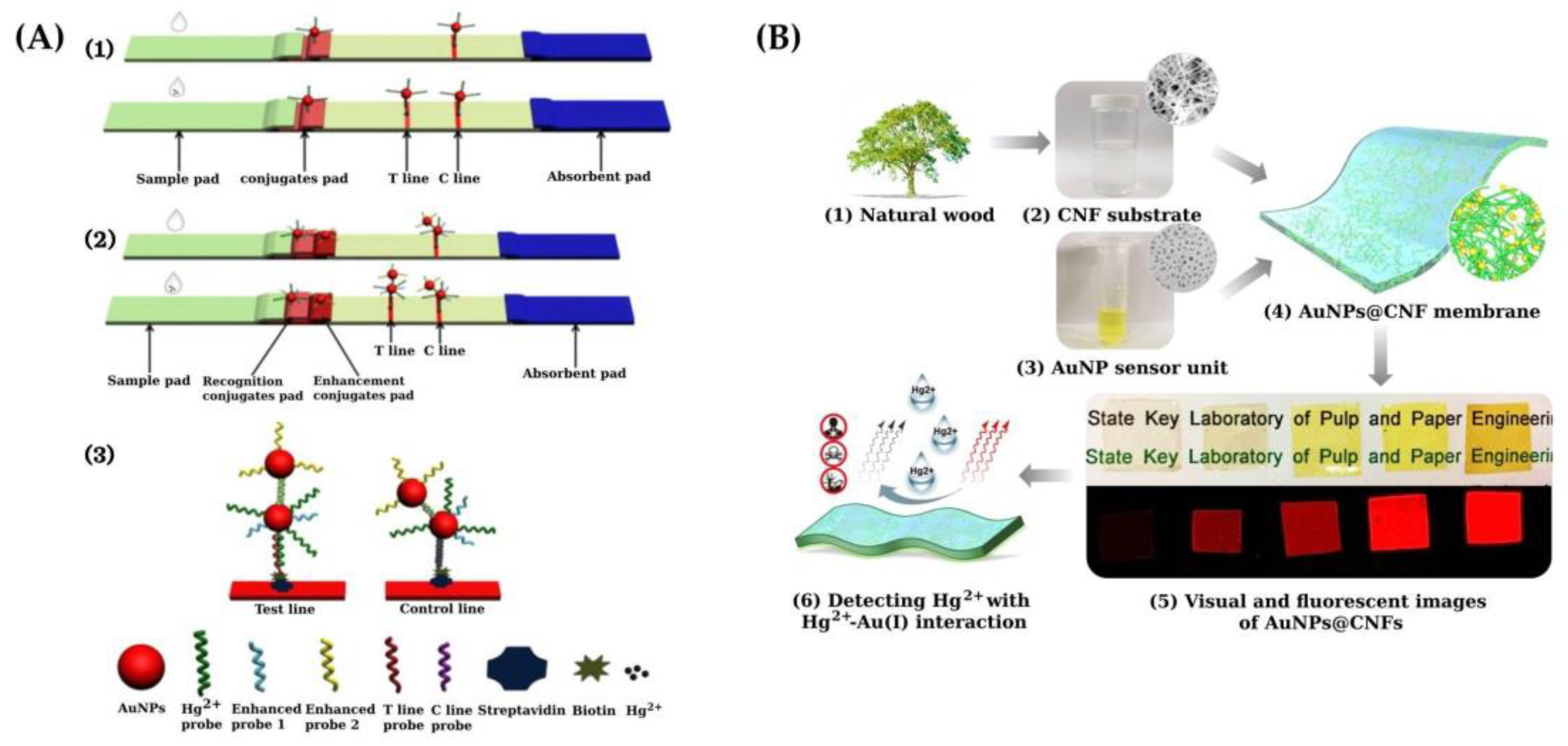 Sensors 21 07571 g004