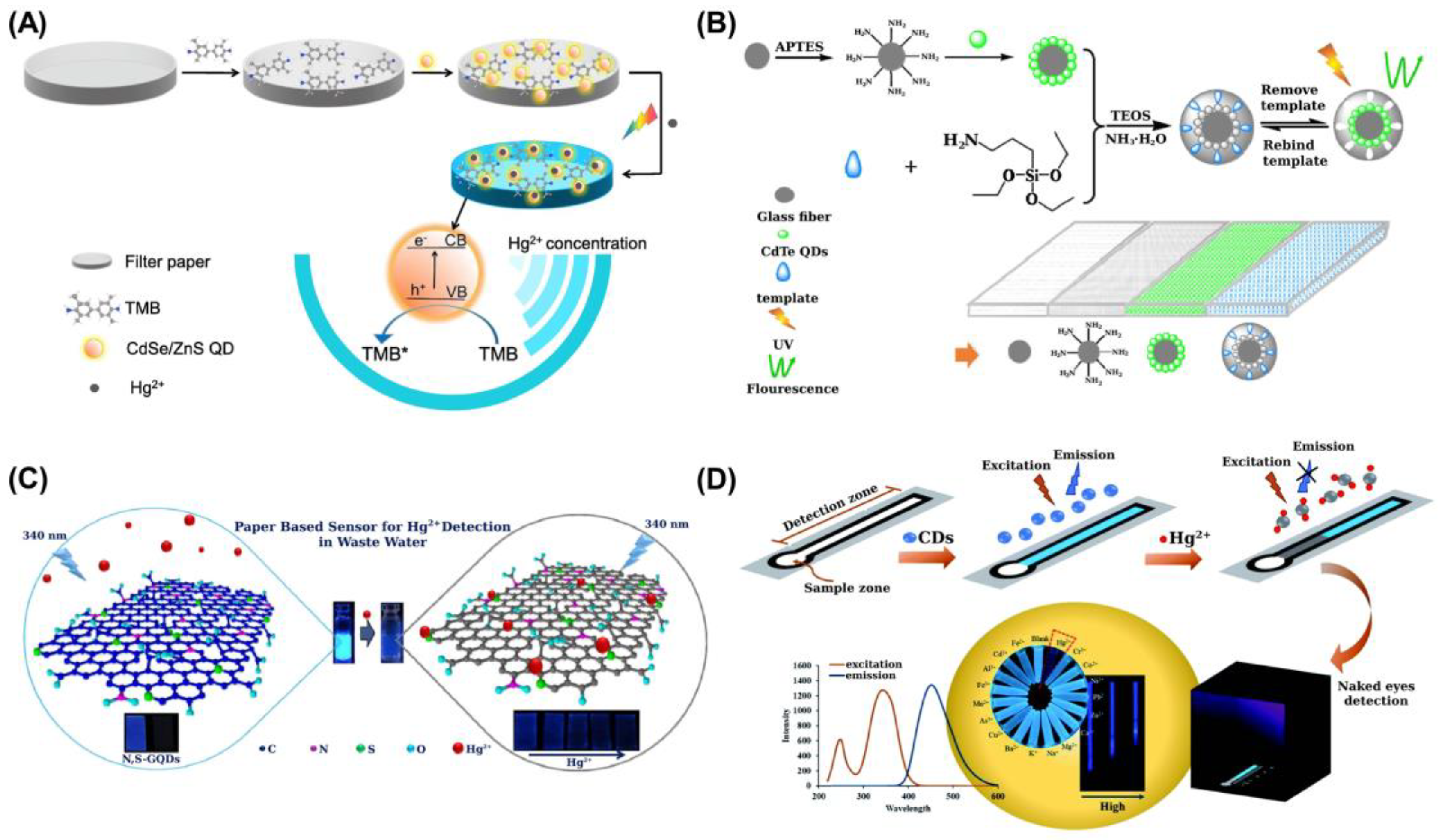 Sensors 21 07571 g006
