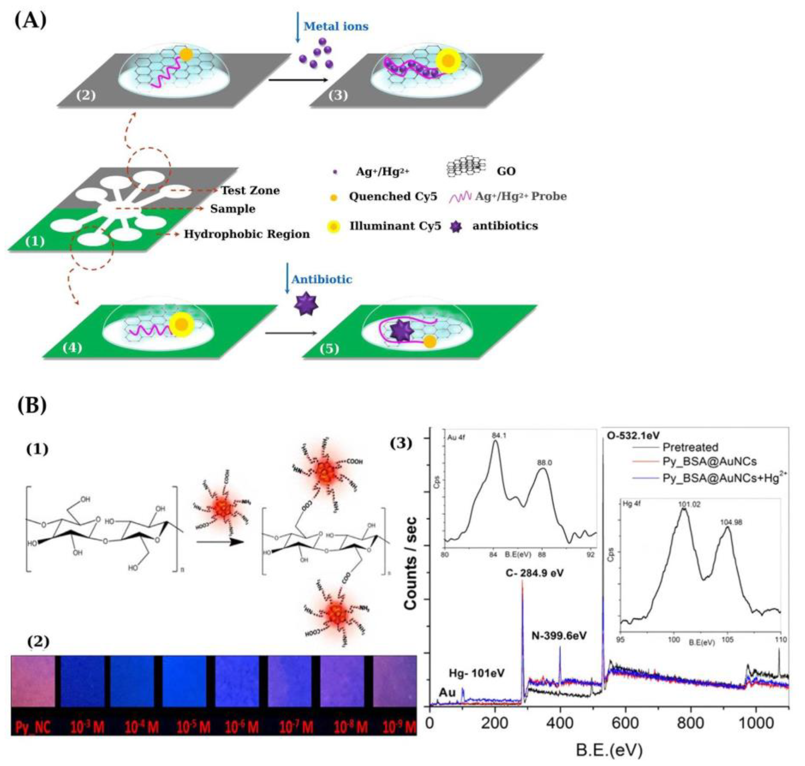 Sensors 21 07571 g007