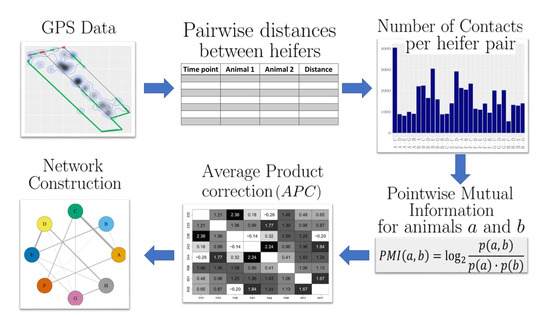 Sensors Free Full Text An Information Theoretic Approach To Detect The Associations Of Gps Tracked Heifers In Pasture Html