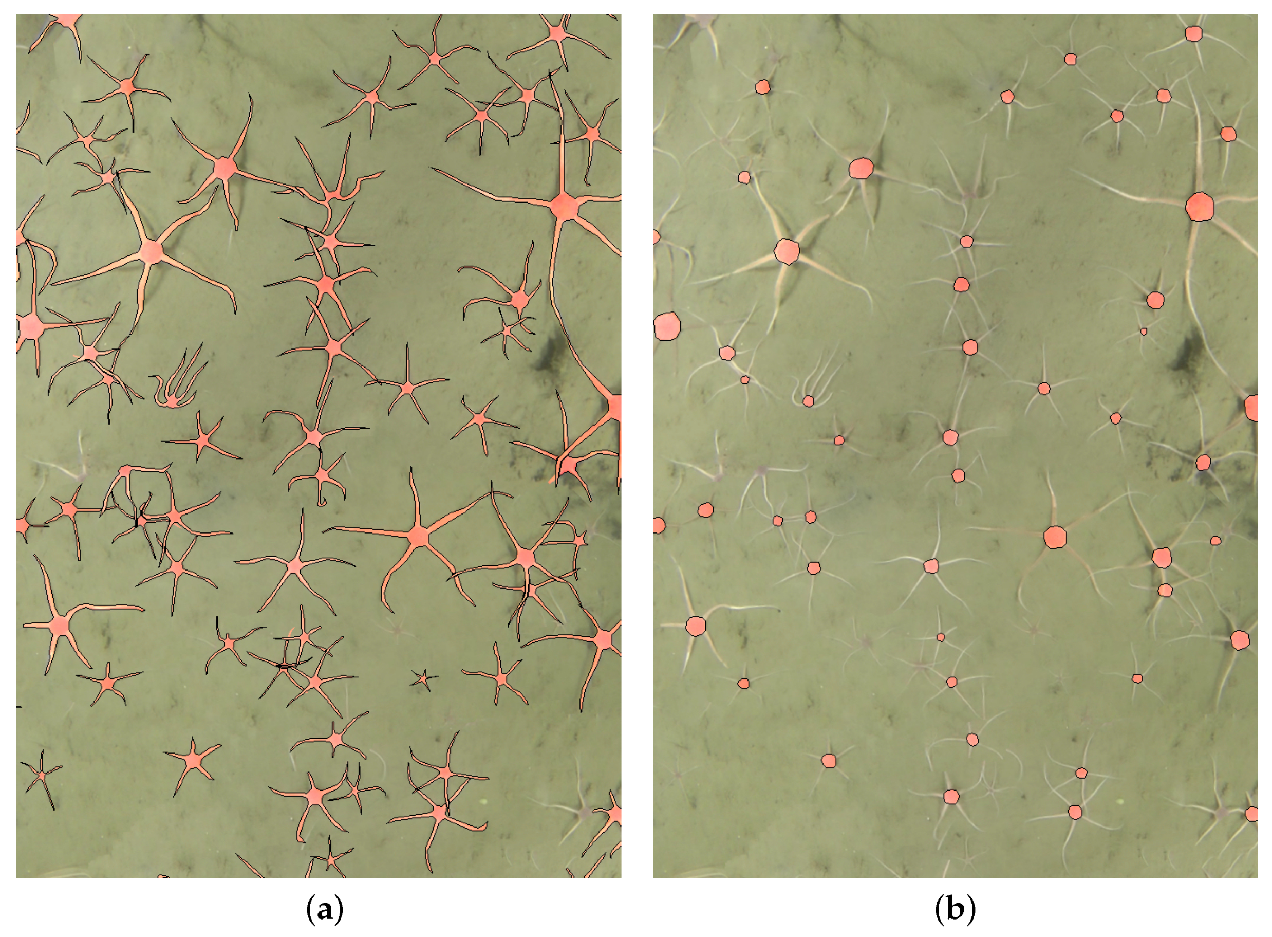 Sensors 21 07598 g002 550