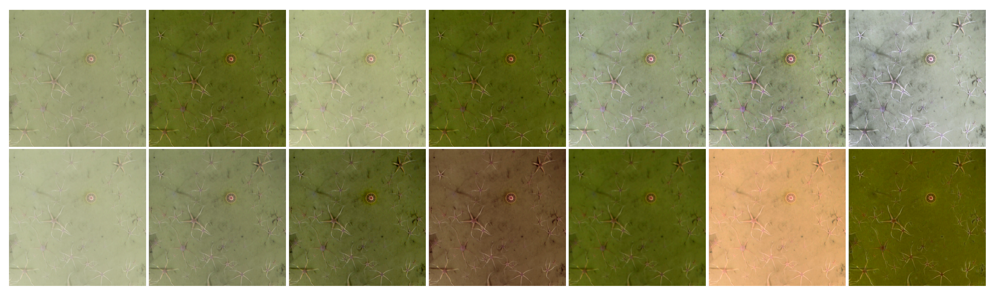 Sensors 21 07598 g003 550