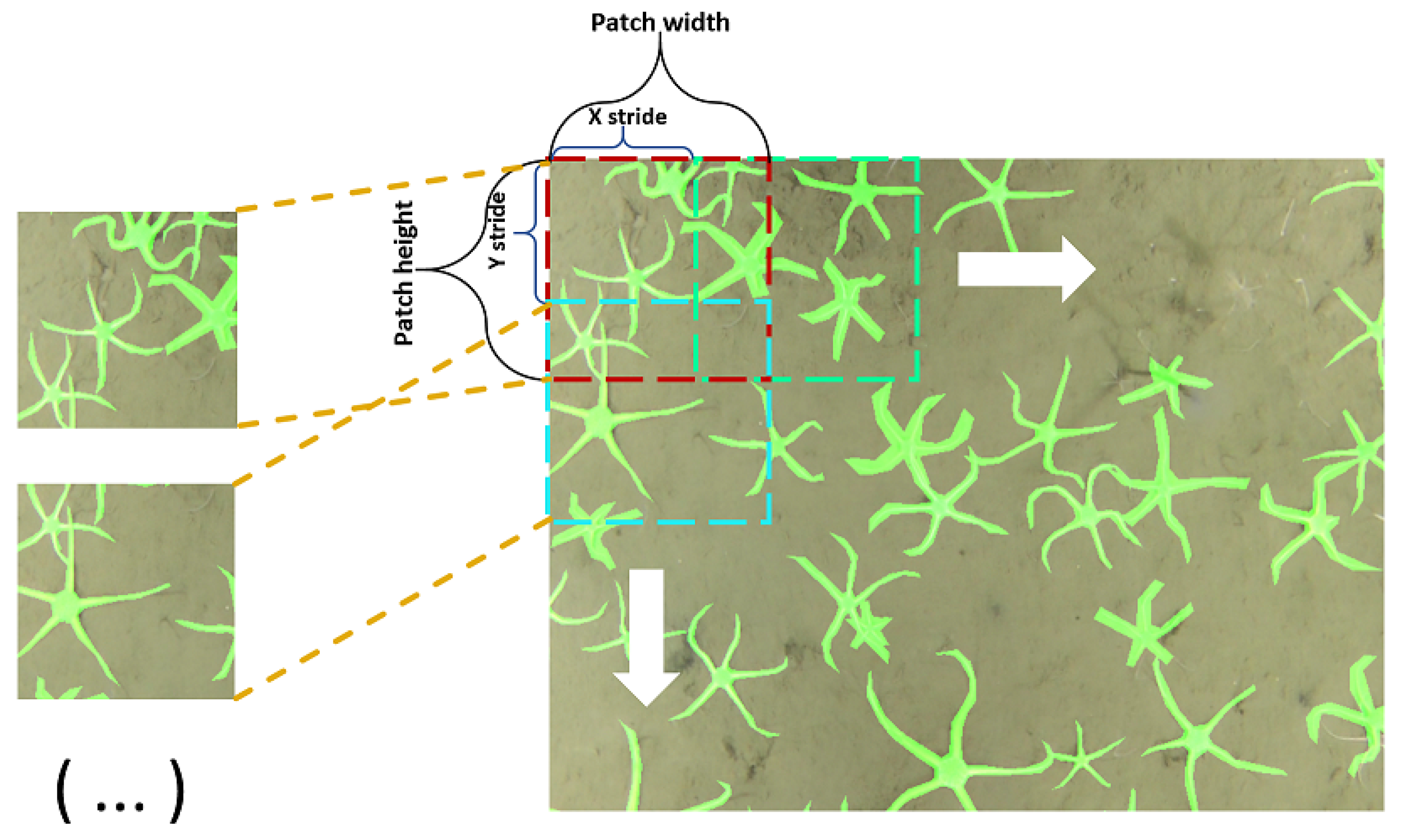 Sensors 21 07598 g005 550