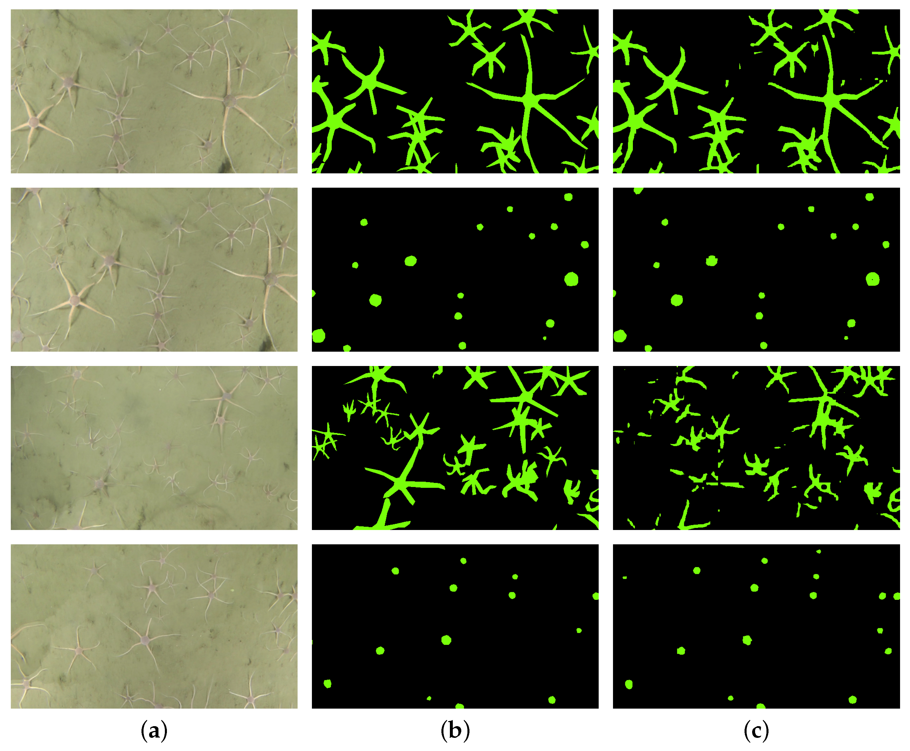 Sensors 21 07598 g006 550