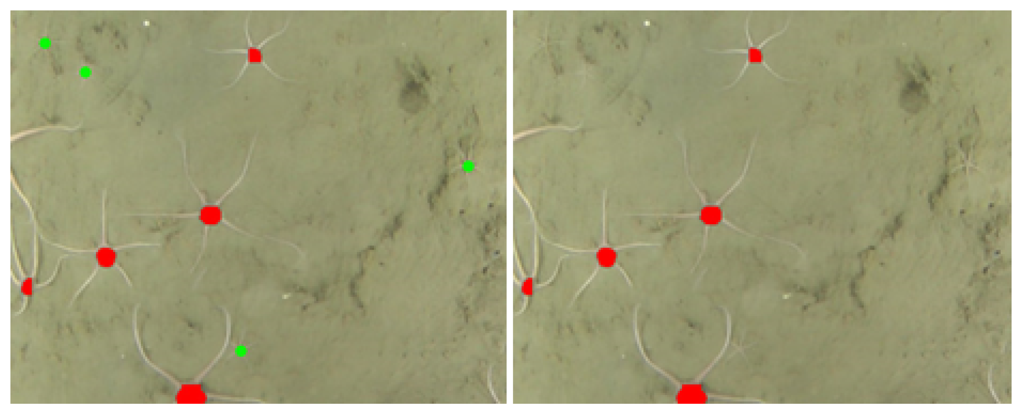 Sensors 21 07598 g008 550