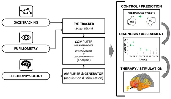Sensors Free Full Text Cybereye New Eye Tracking Interfaces For Assessment And Modulation Of Cognitive Functions Beyond The Brain Html