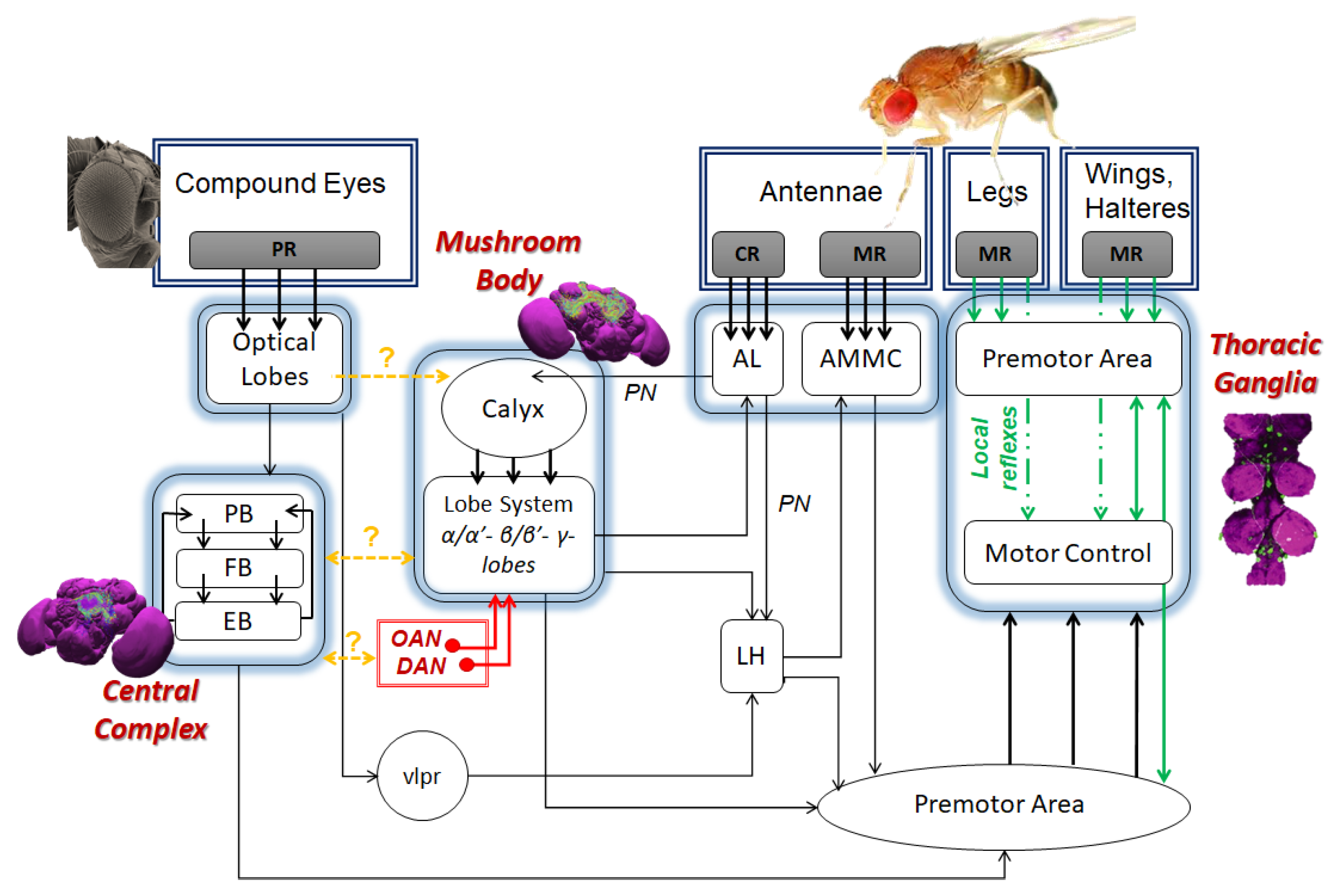 Sensors 21 07609 g009 Sensors 21 07609 g009