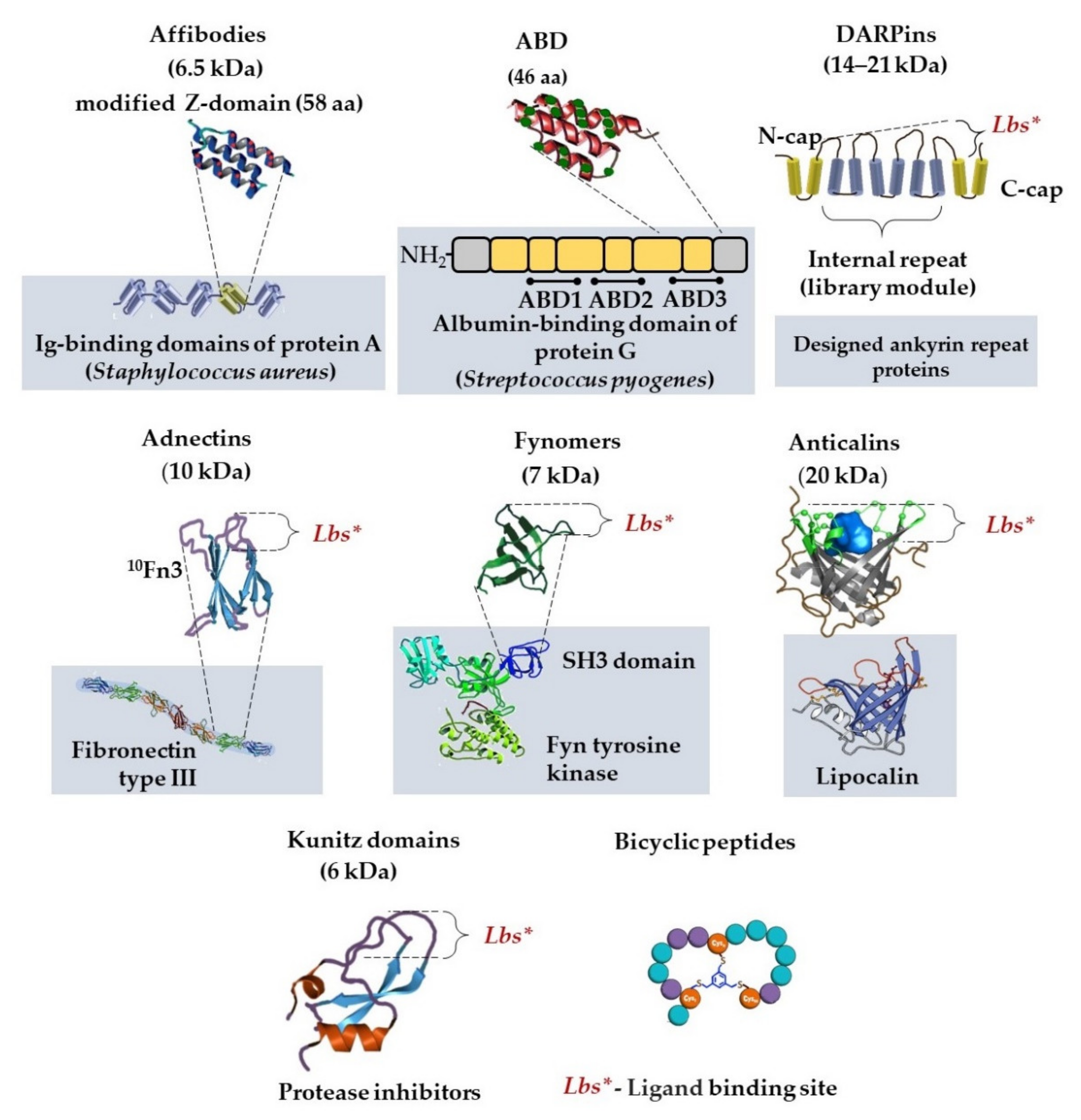 Sensors 21 07614 g003 550