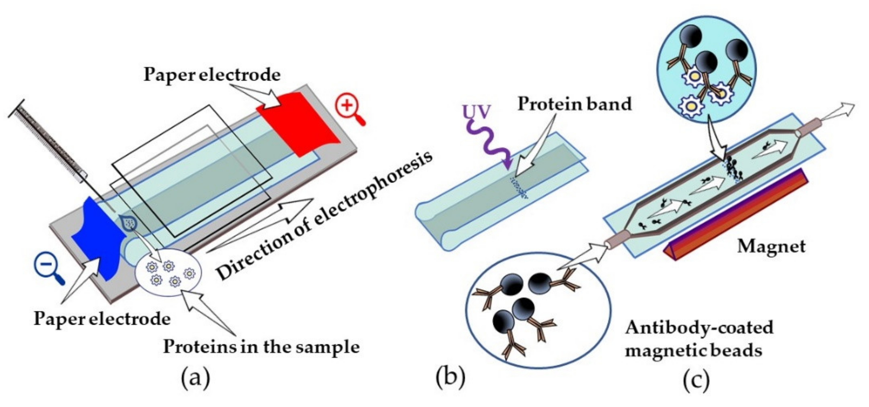 Sensors 21 07614 g008 550