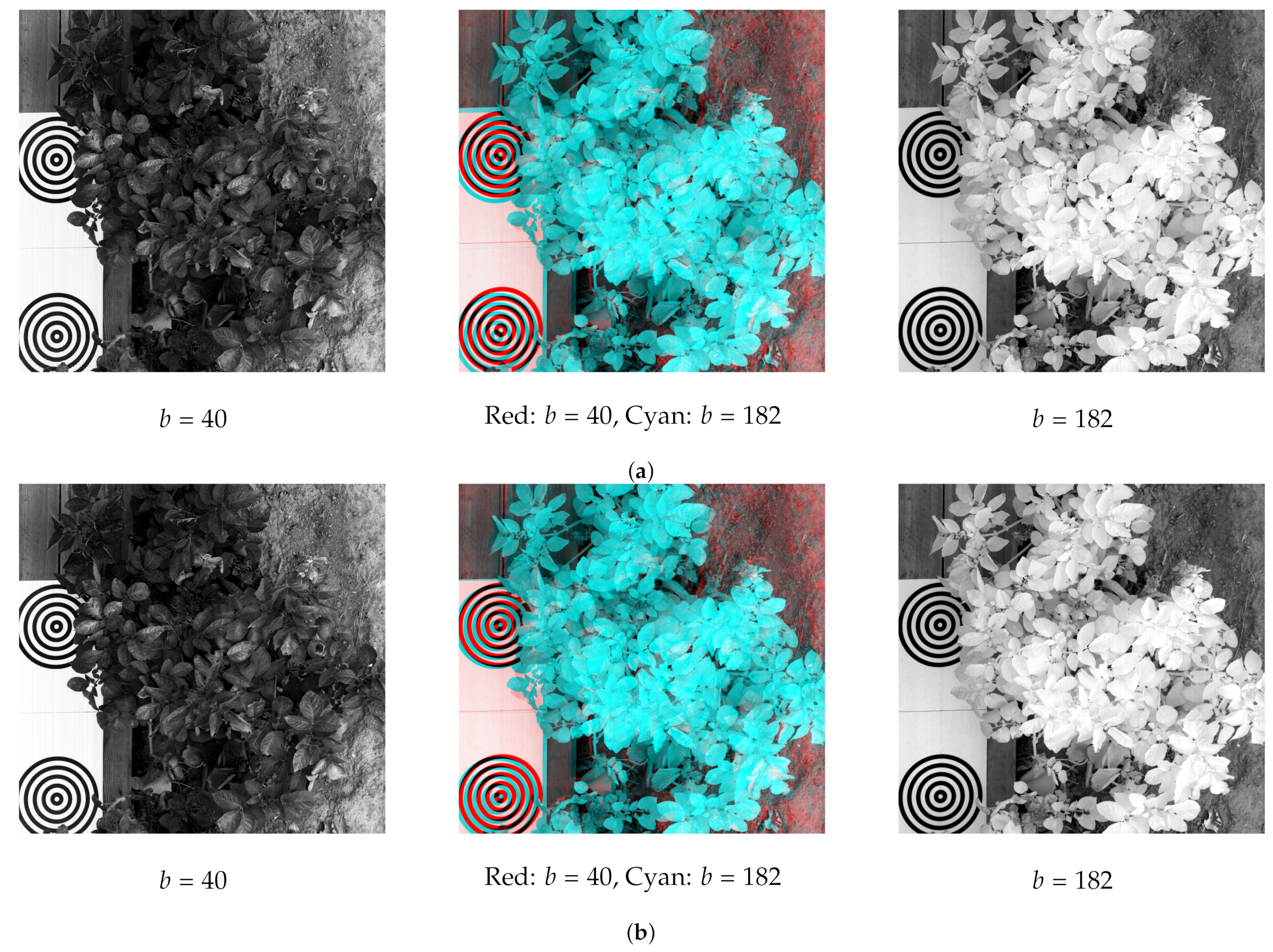 Sensors 21 07616 g016