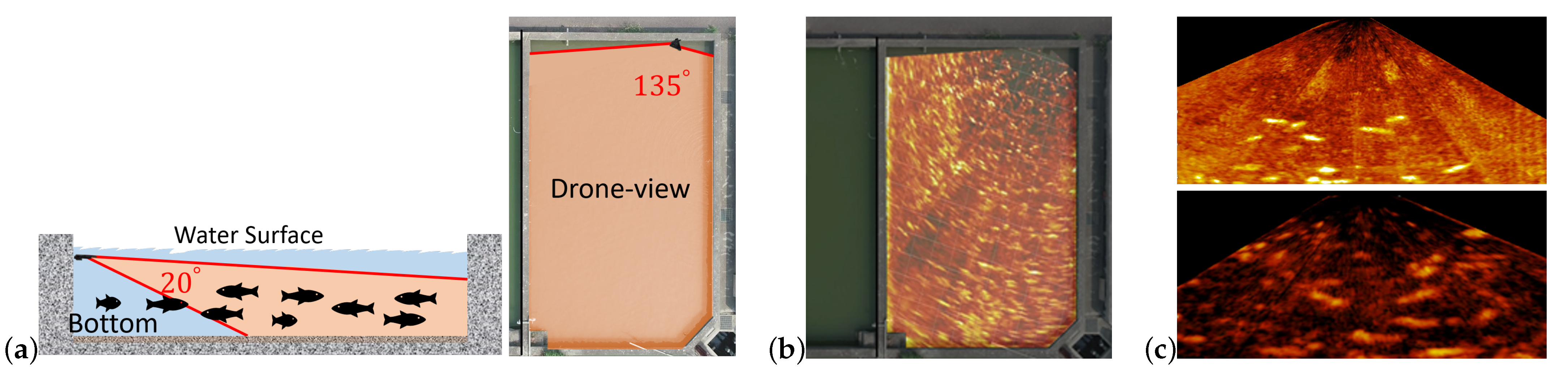 Sensors 21 07625 g002