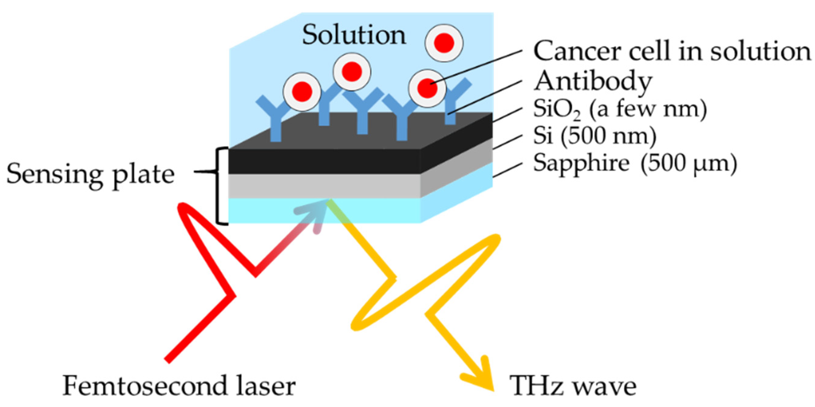 Sensors 21 07631 g001