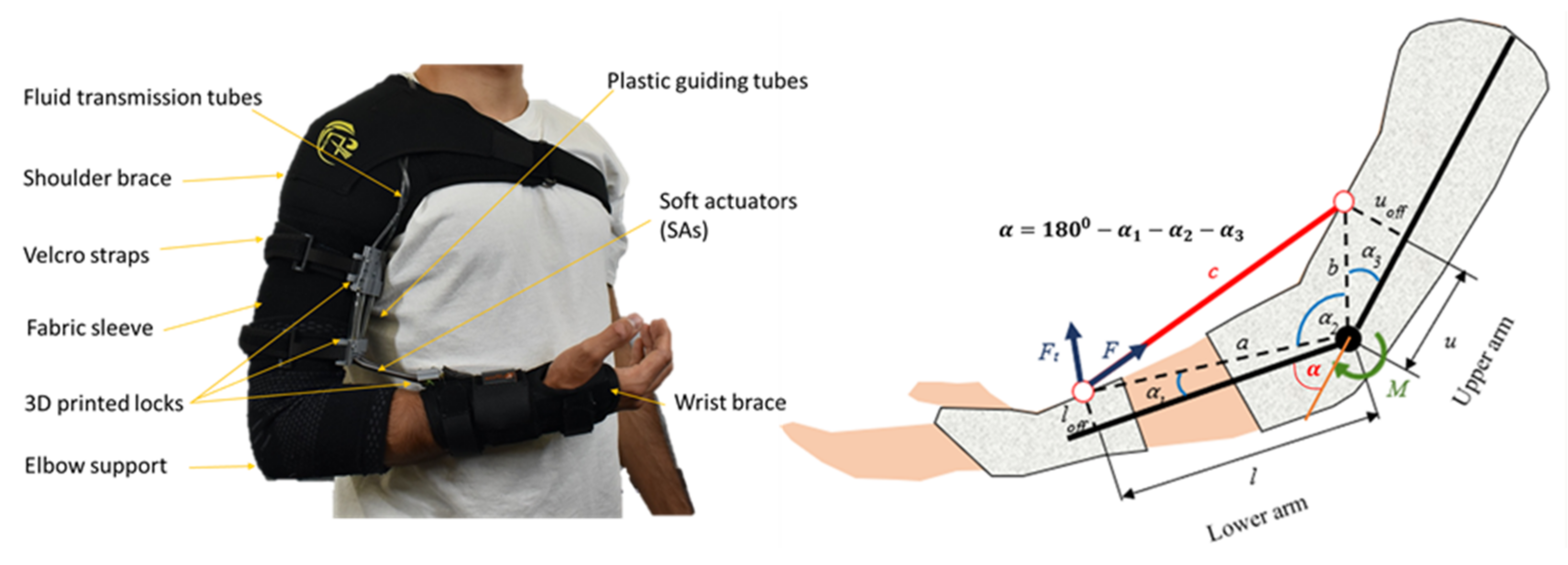 Sensors 21 07638 g006 550