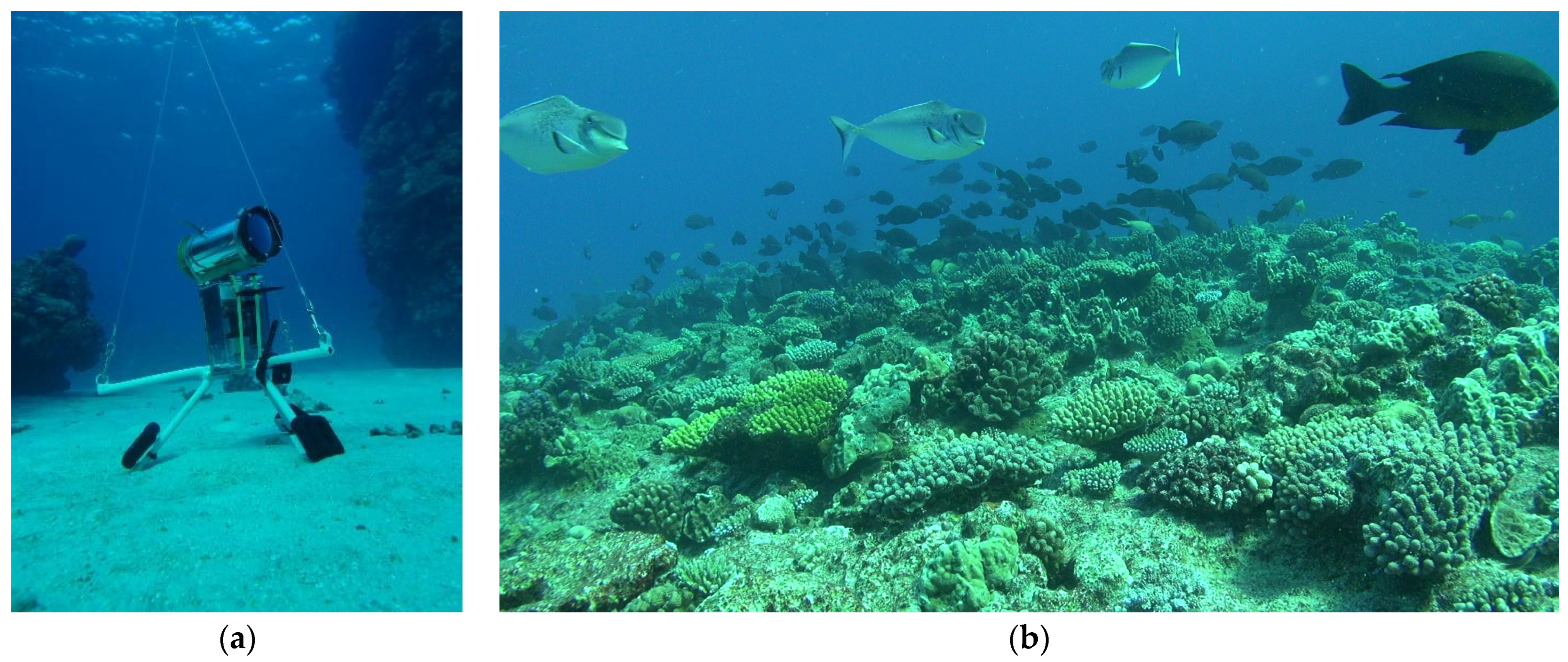 Sensors 21 07724 g001