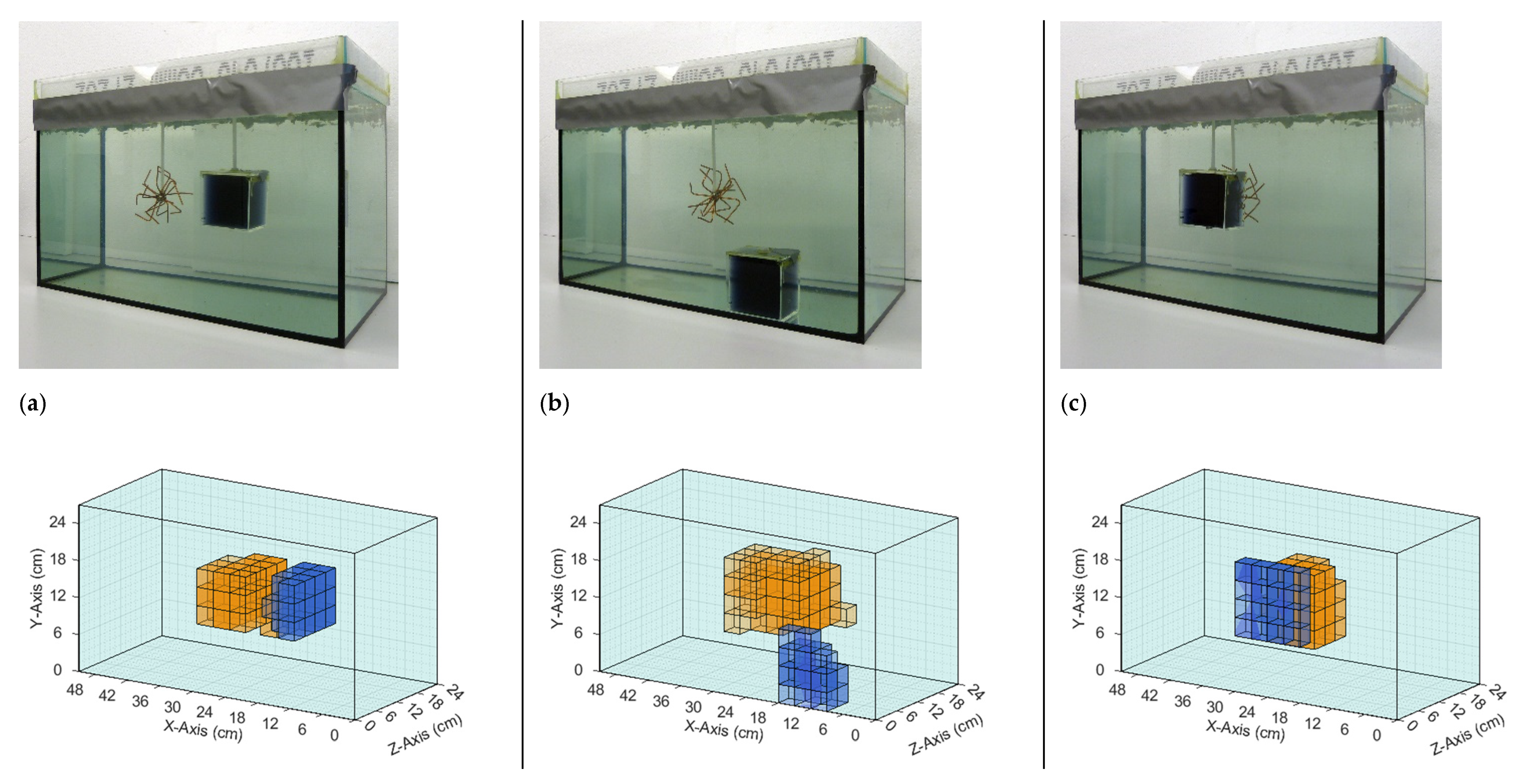 Sensors 21 07725 g007
