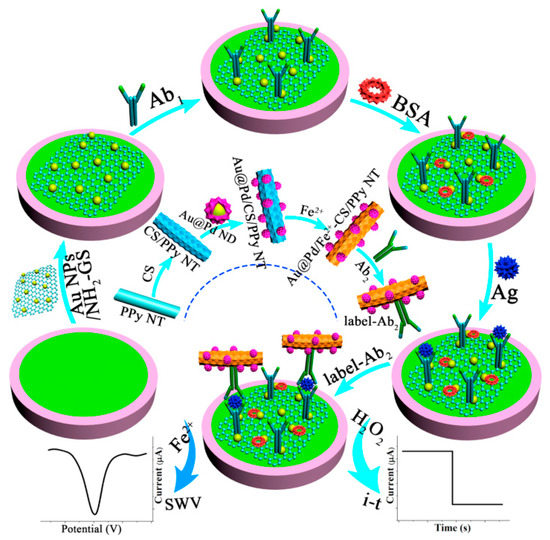 Electrochemistry/Photoelectrochemistry-Based Immunosensing