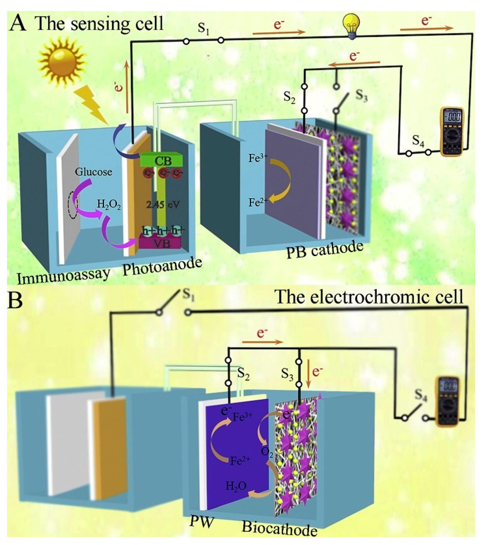 Sensors 21 07742 g009